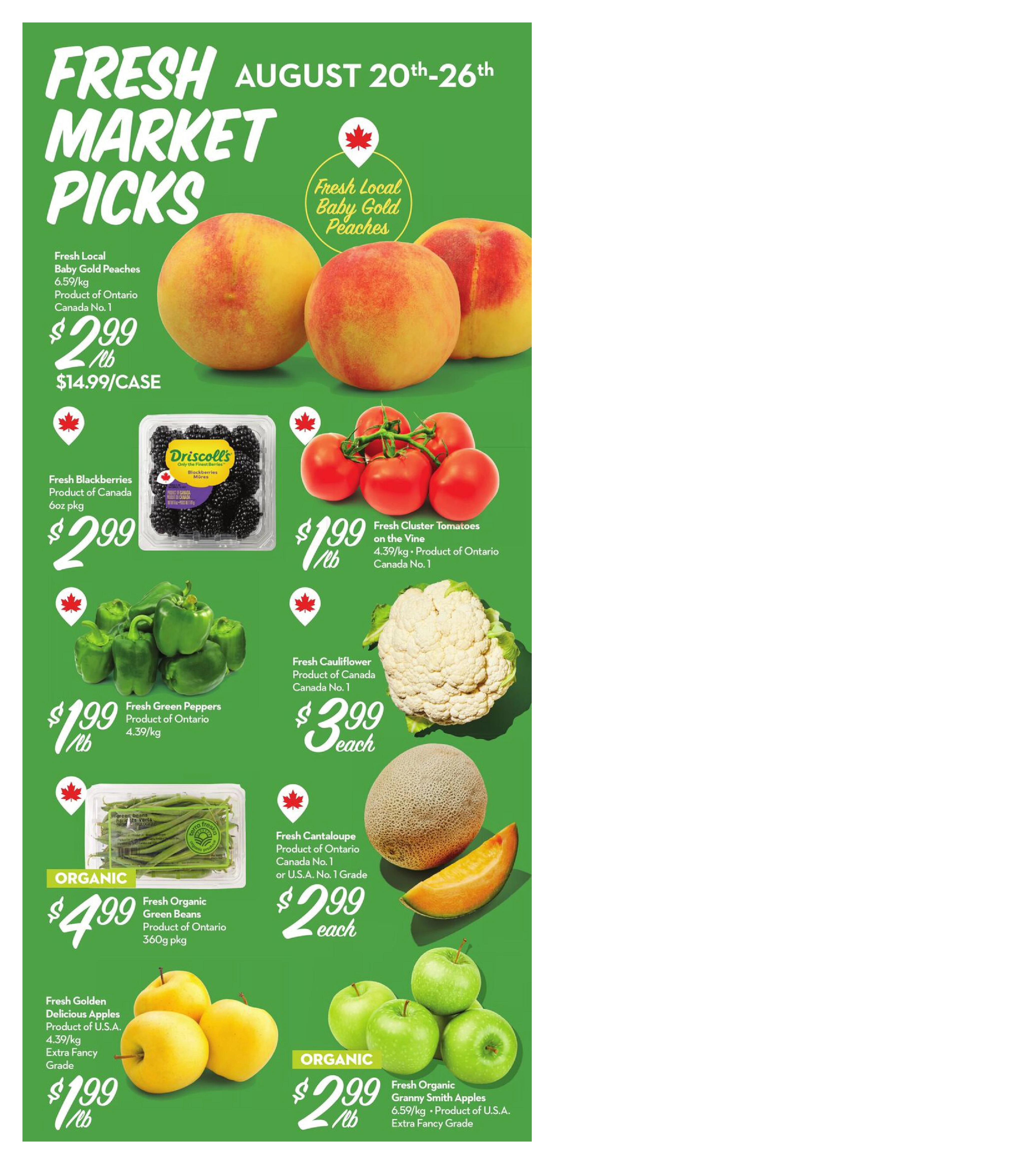 Flyer page 2