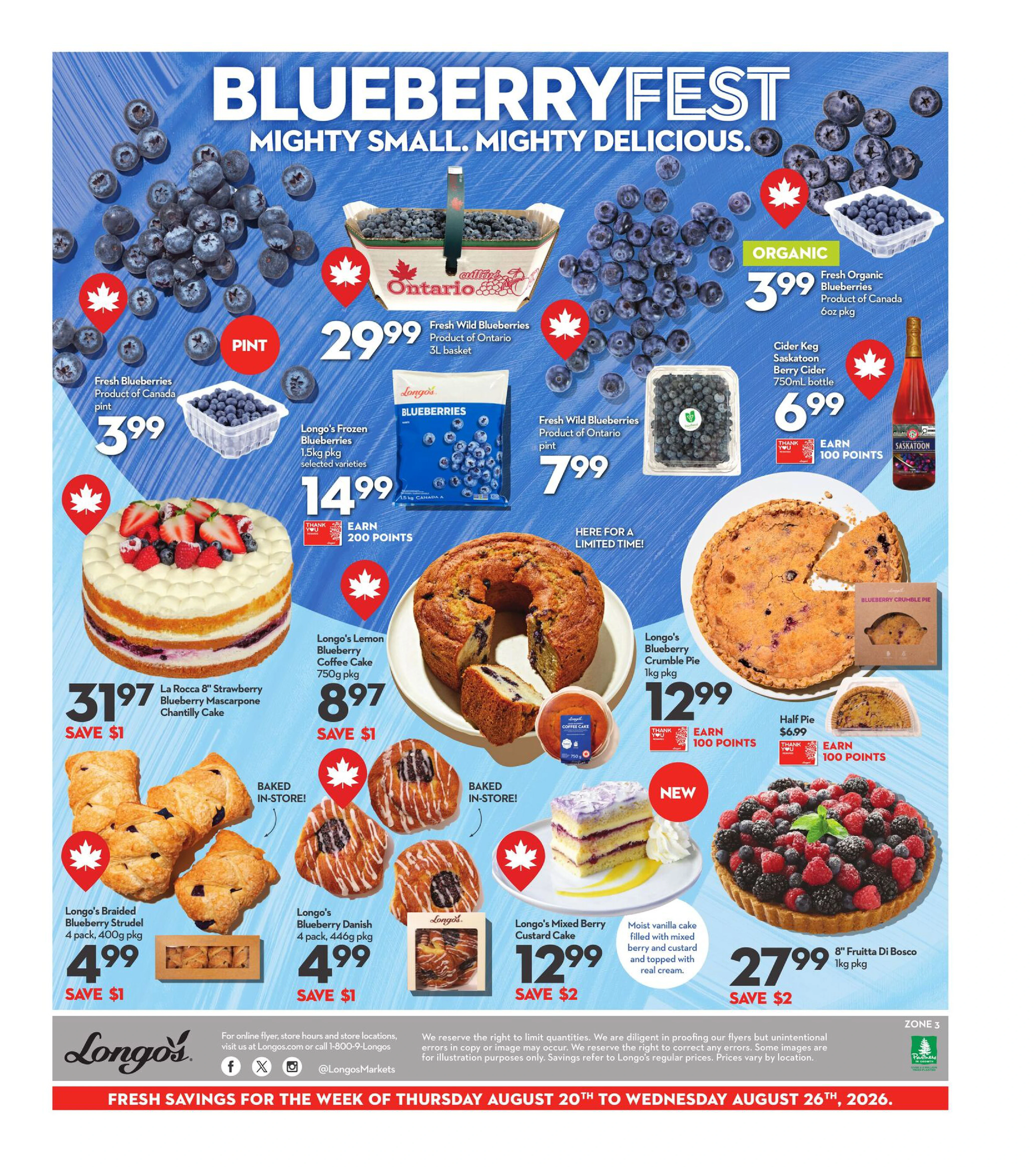 Flyer page 3