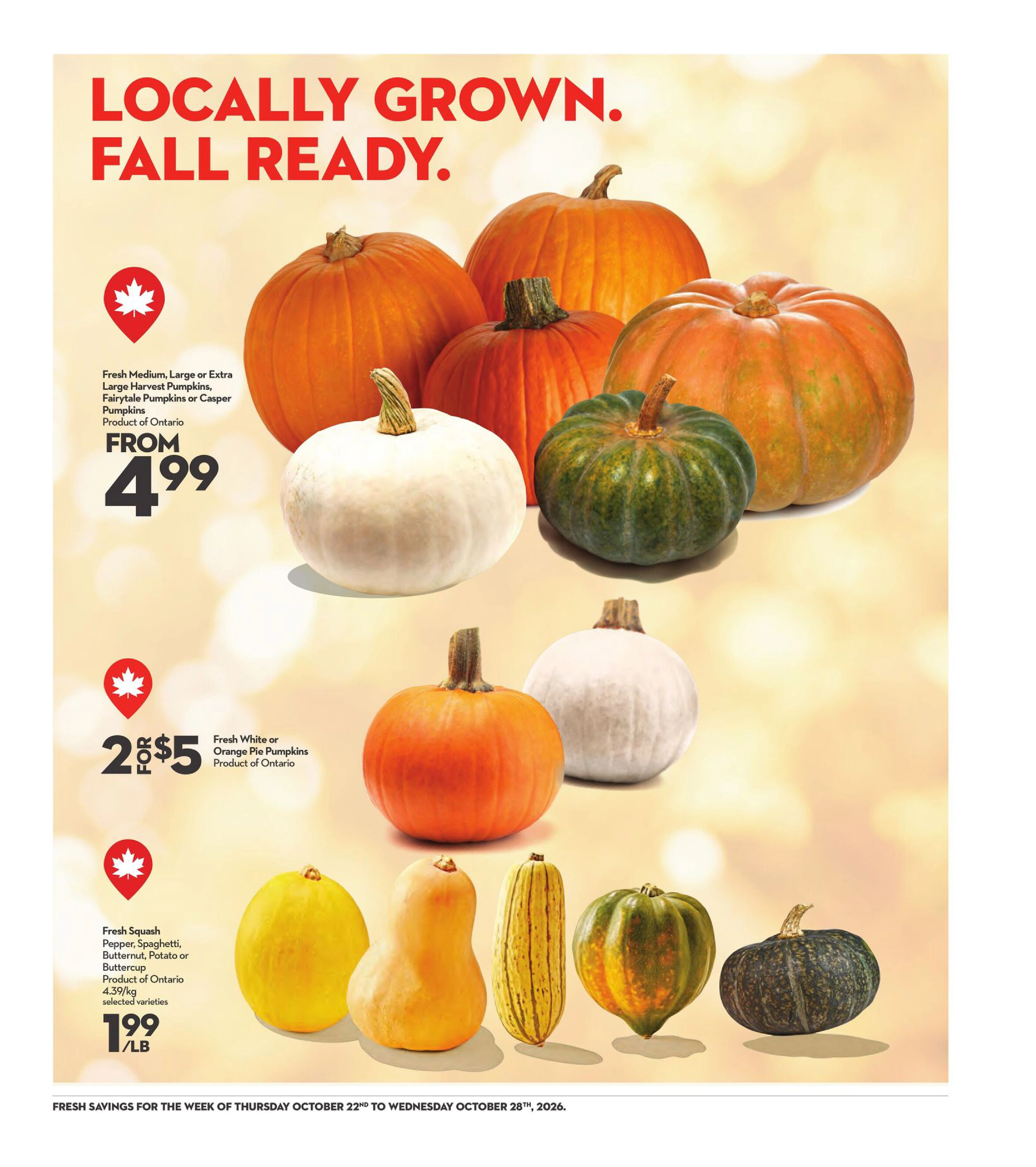 Longo's Weekly Flyer - Page 13