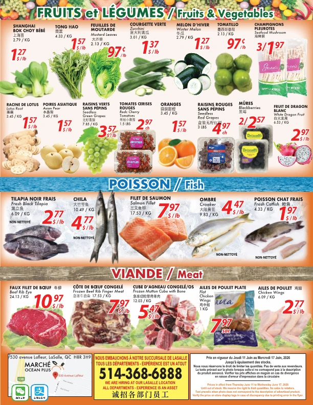 Flyer page 4