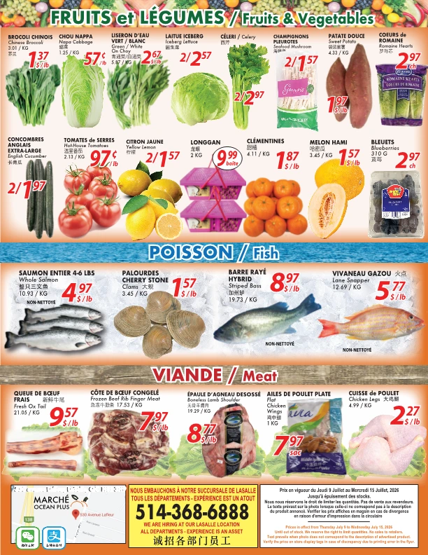 Flyer page 4