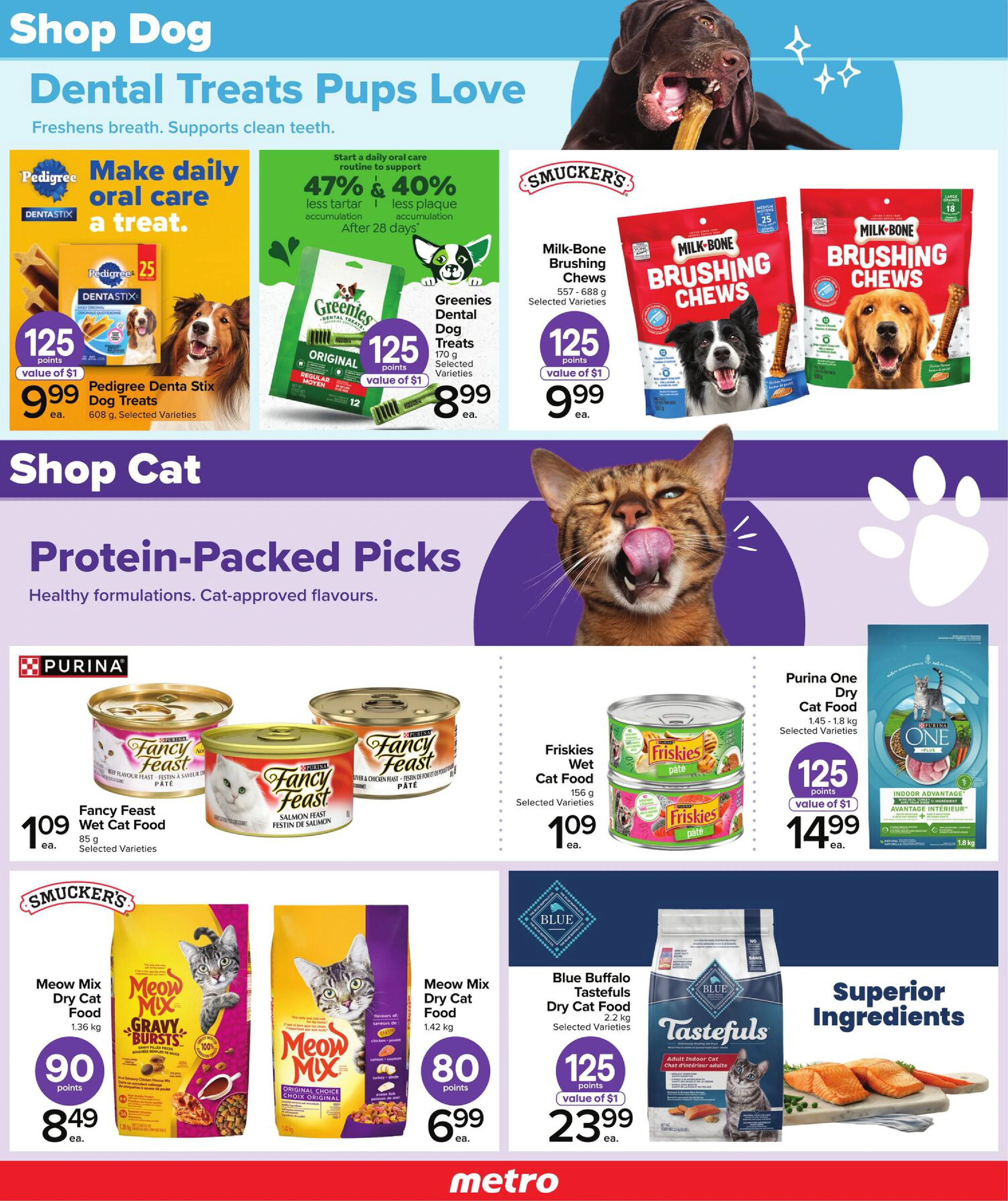 Flyer page 5