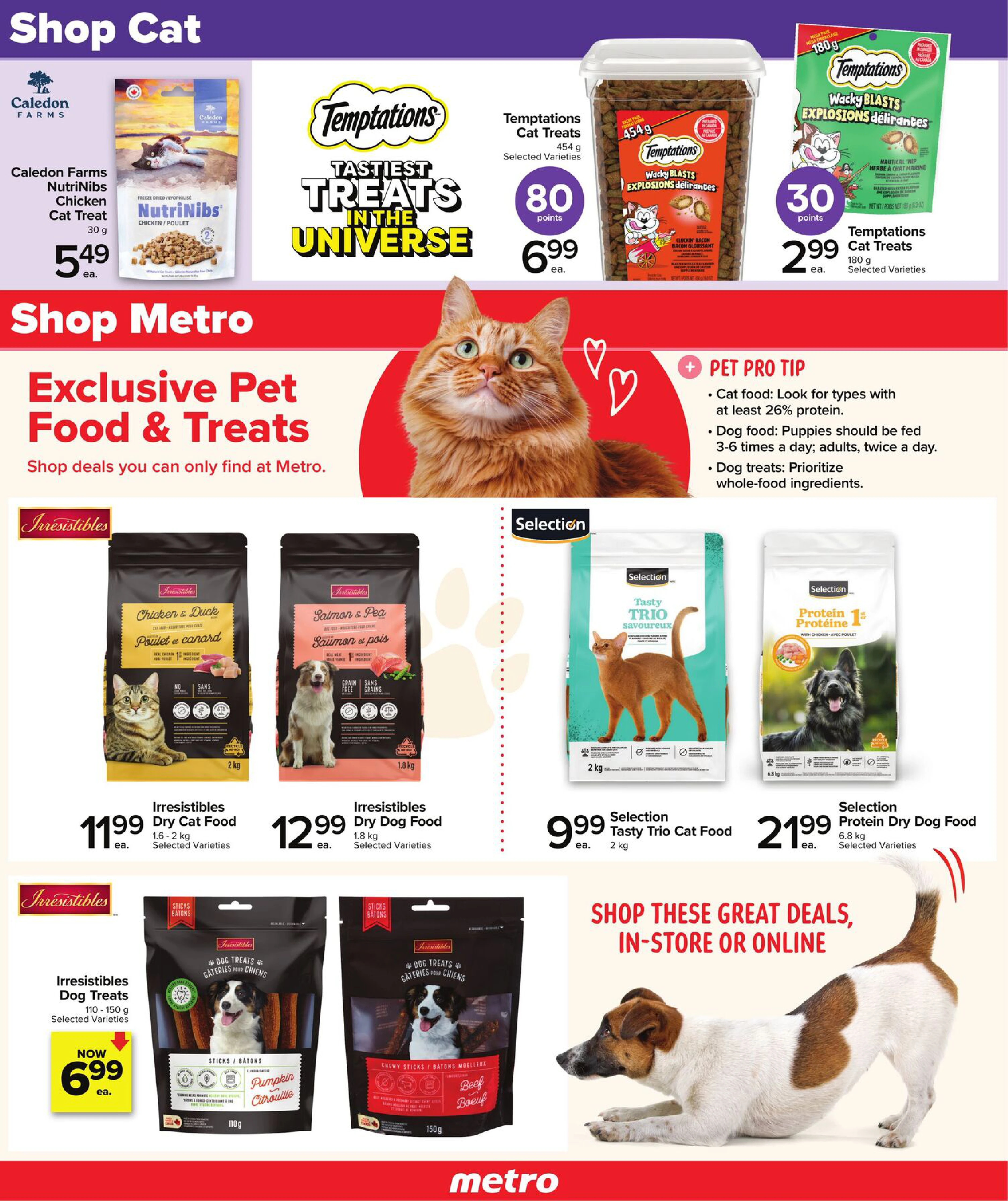 Flyer page 7