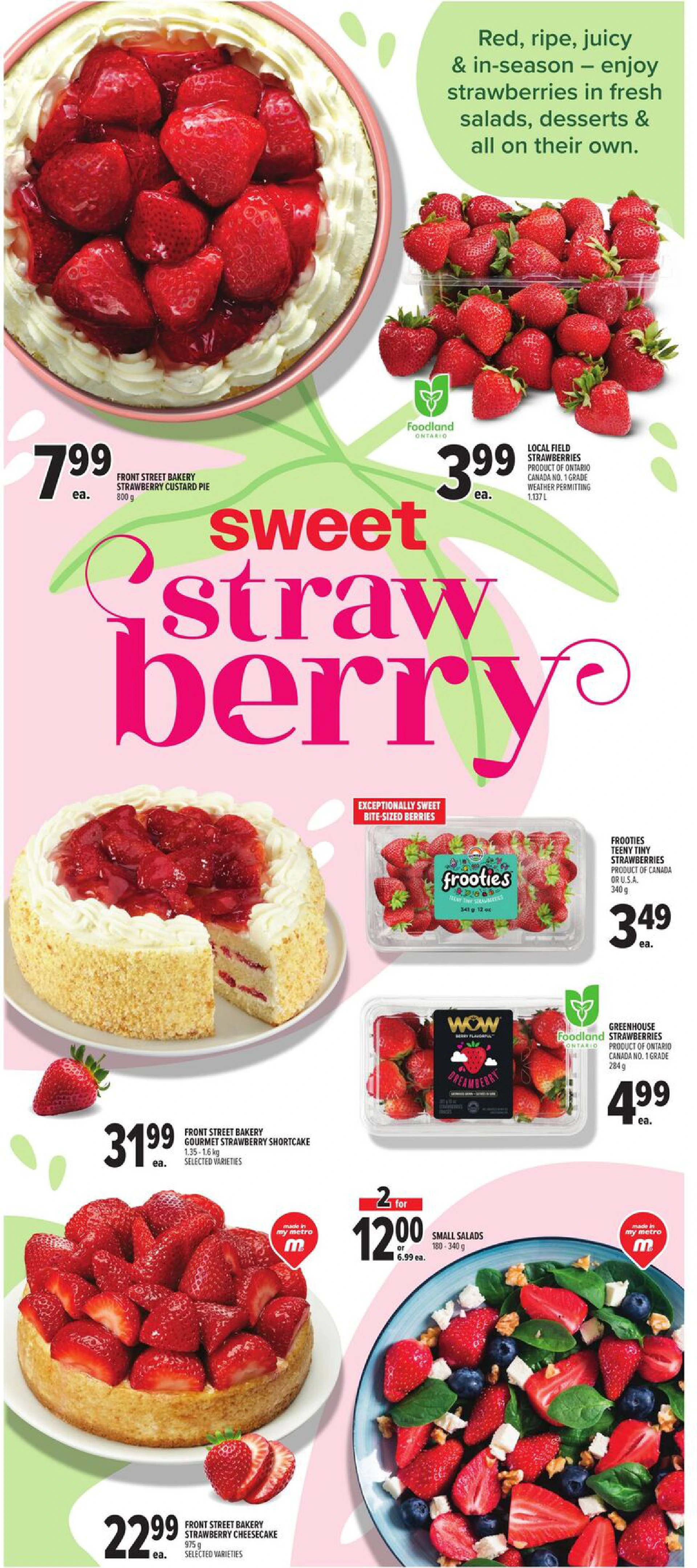 Flyer page 6