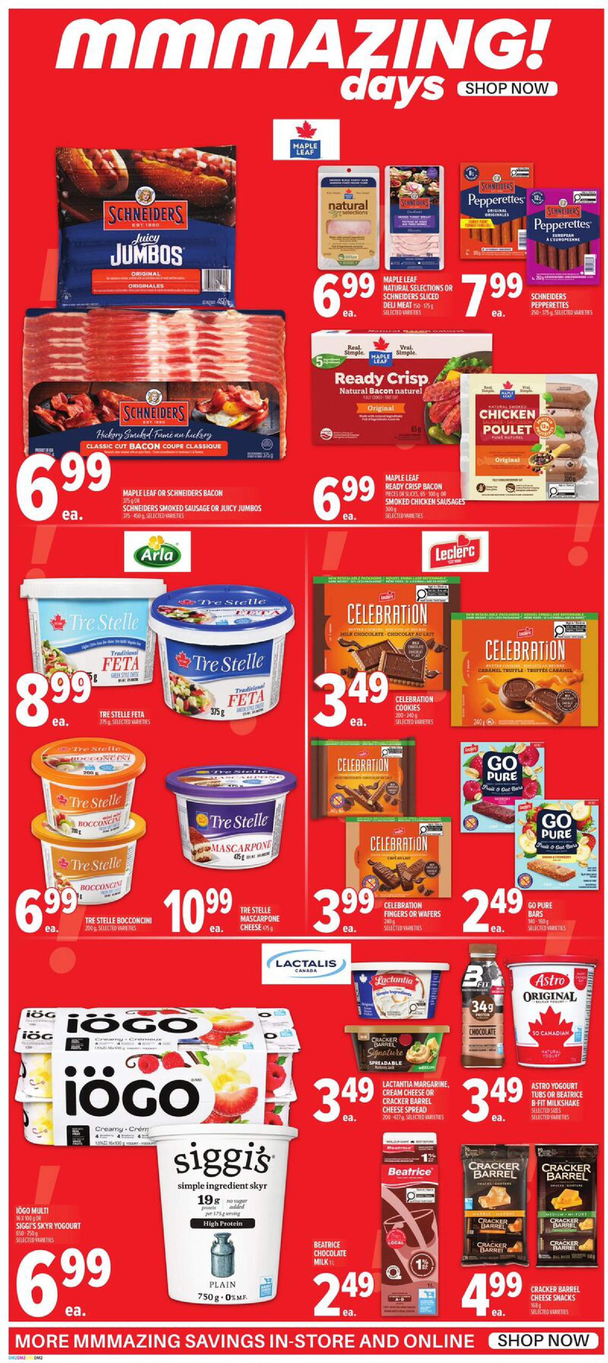 Flyer page 2