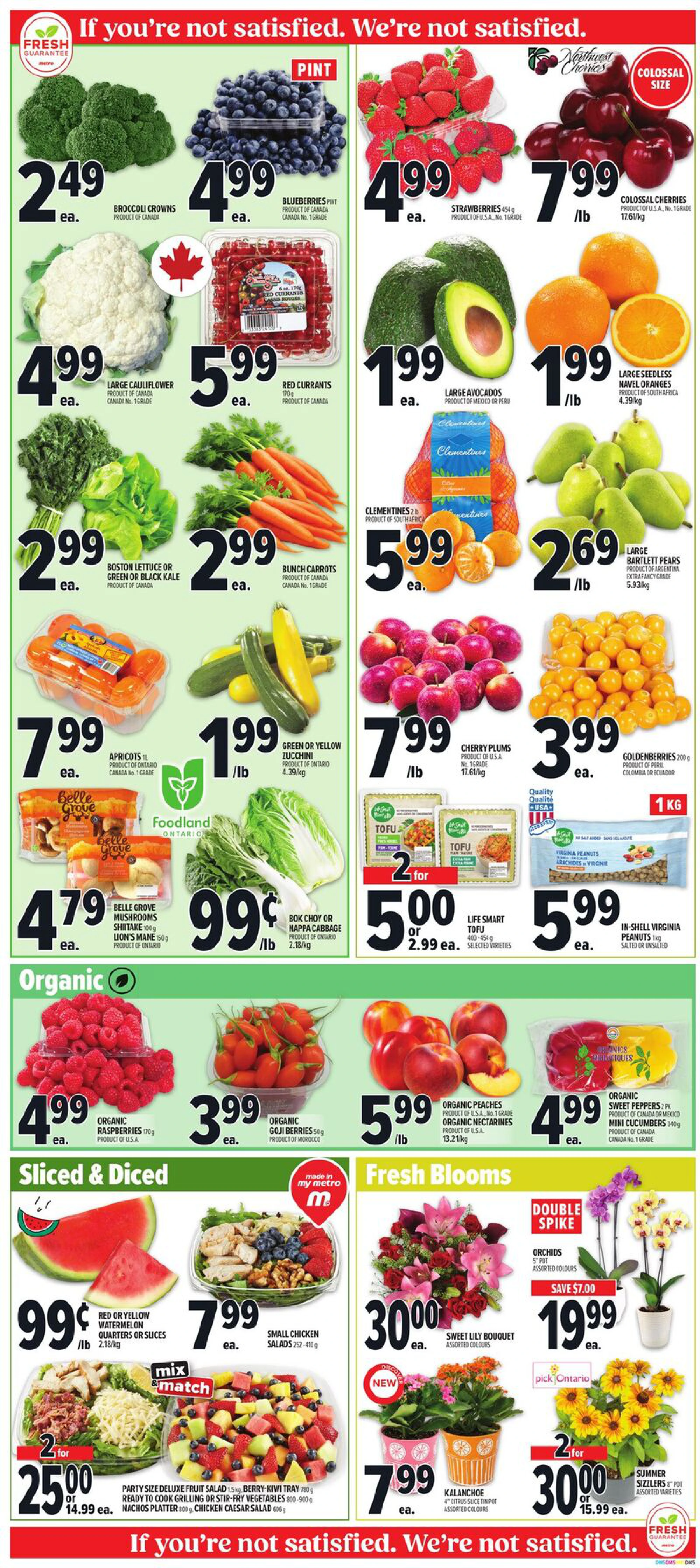 Flyer page 7