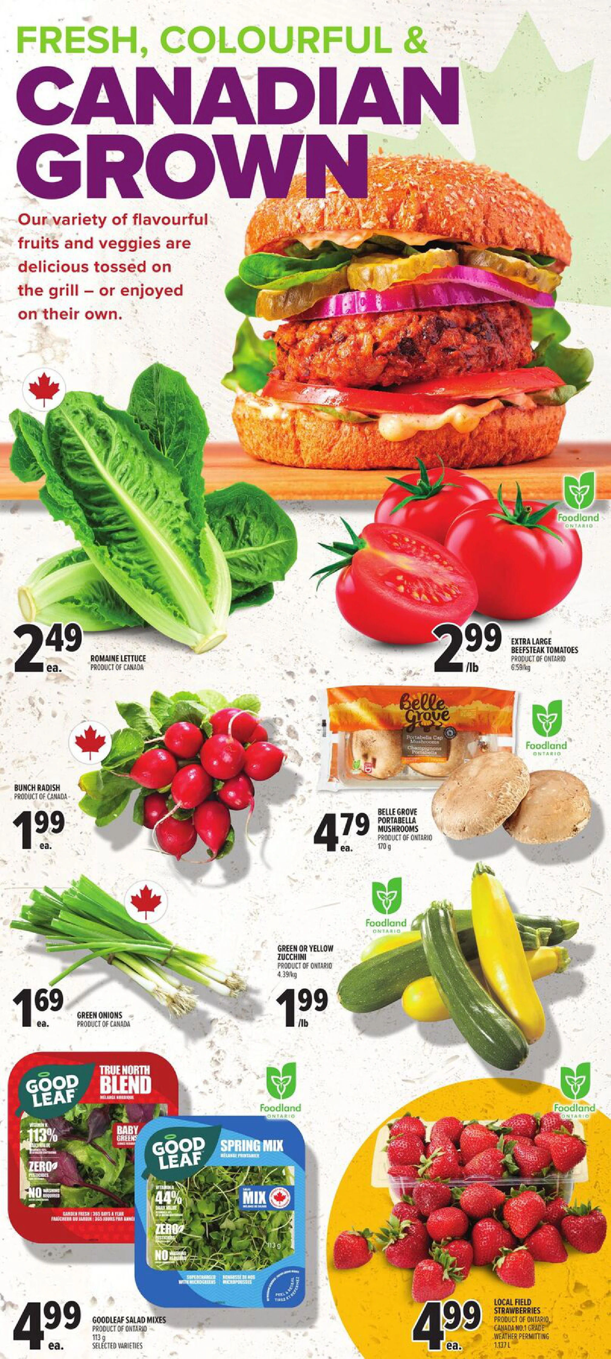 Flyer page 8