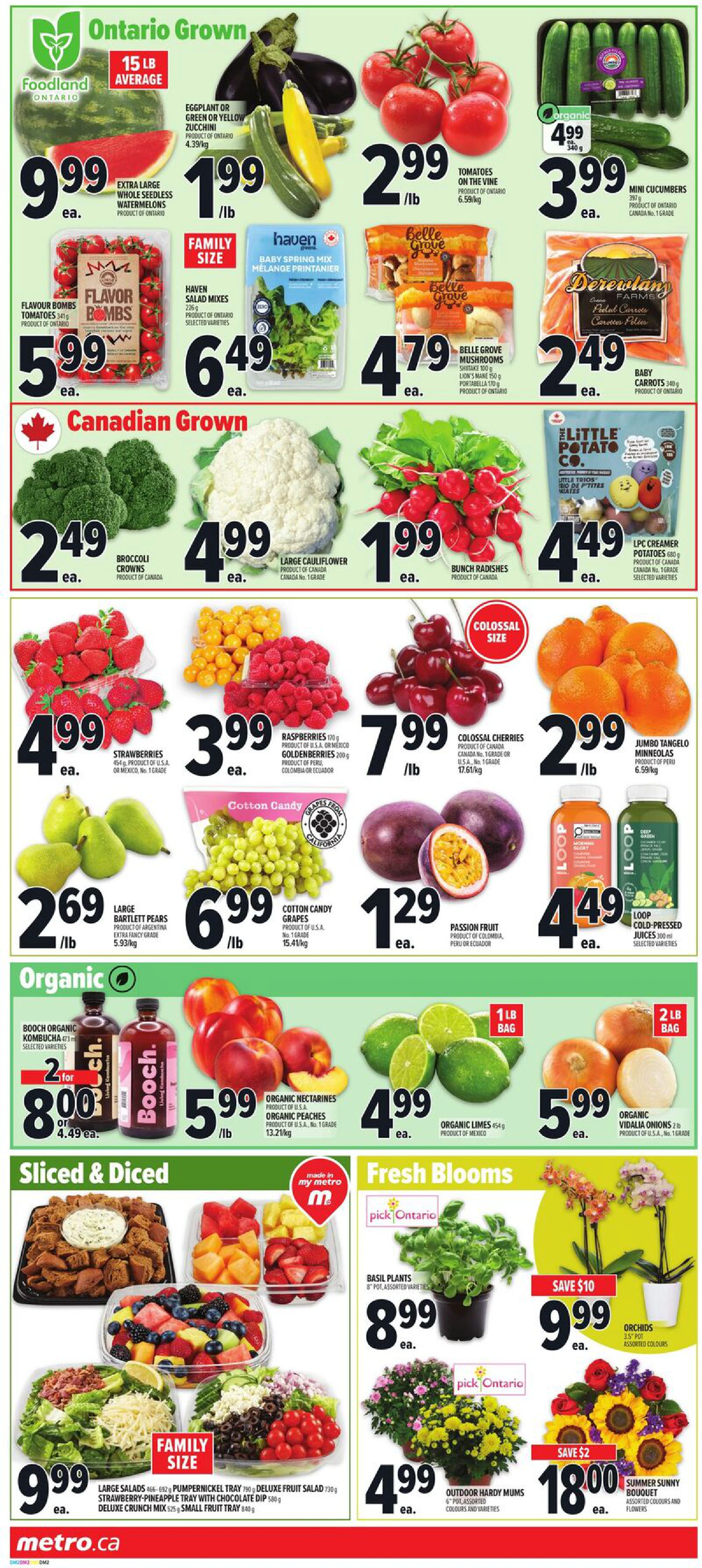Flyer page 5