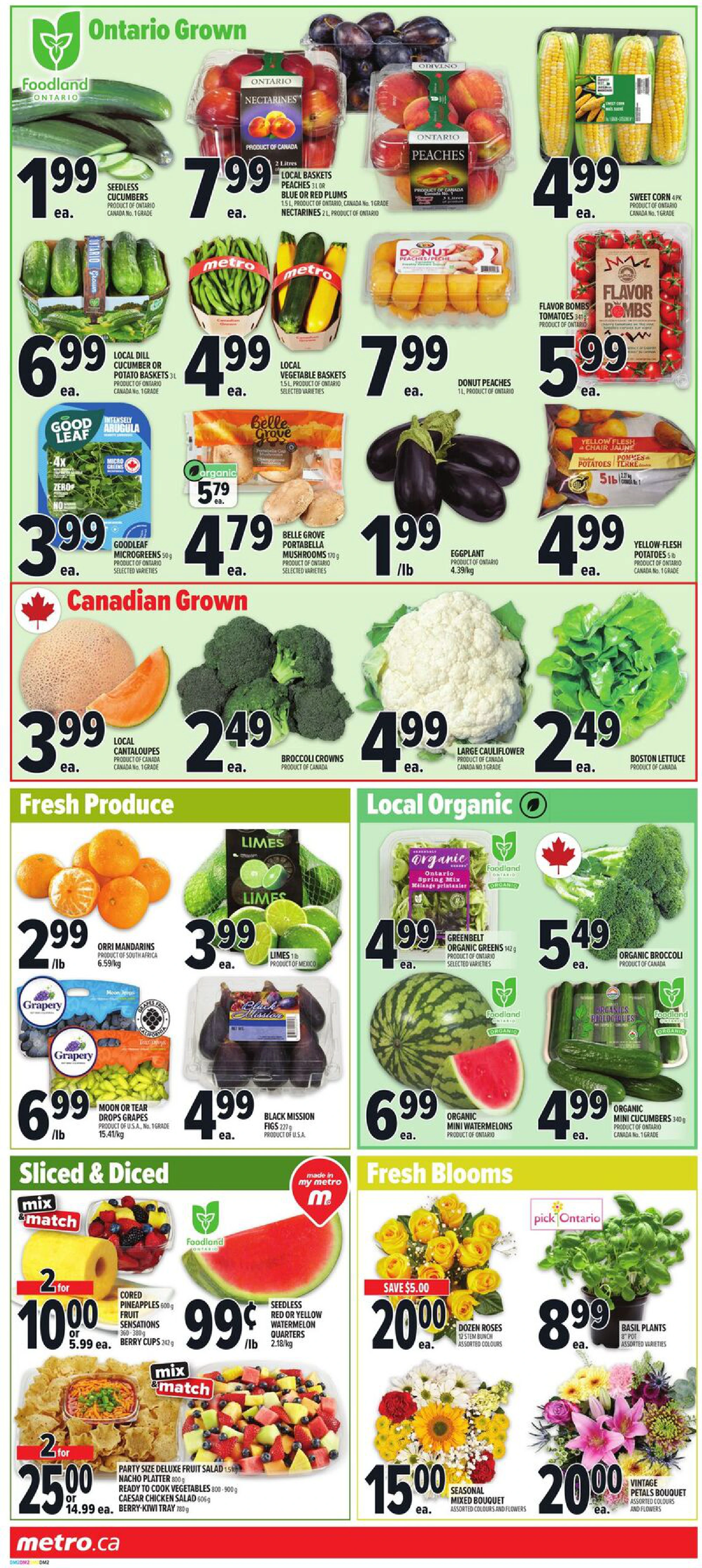 Flyer page 5