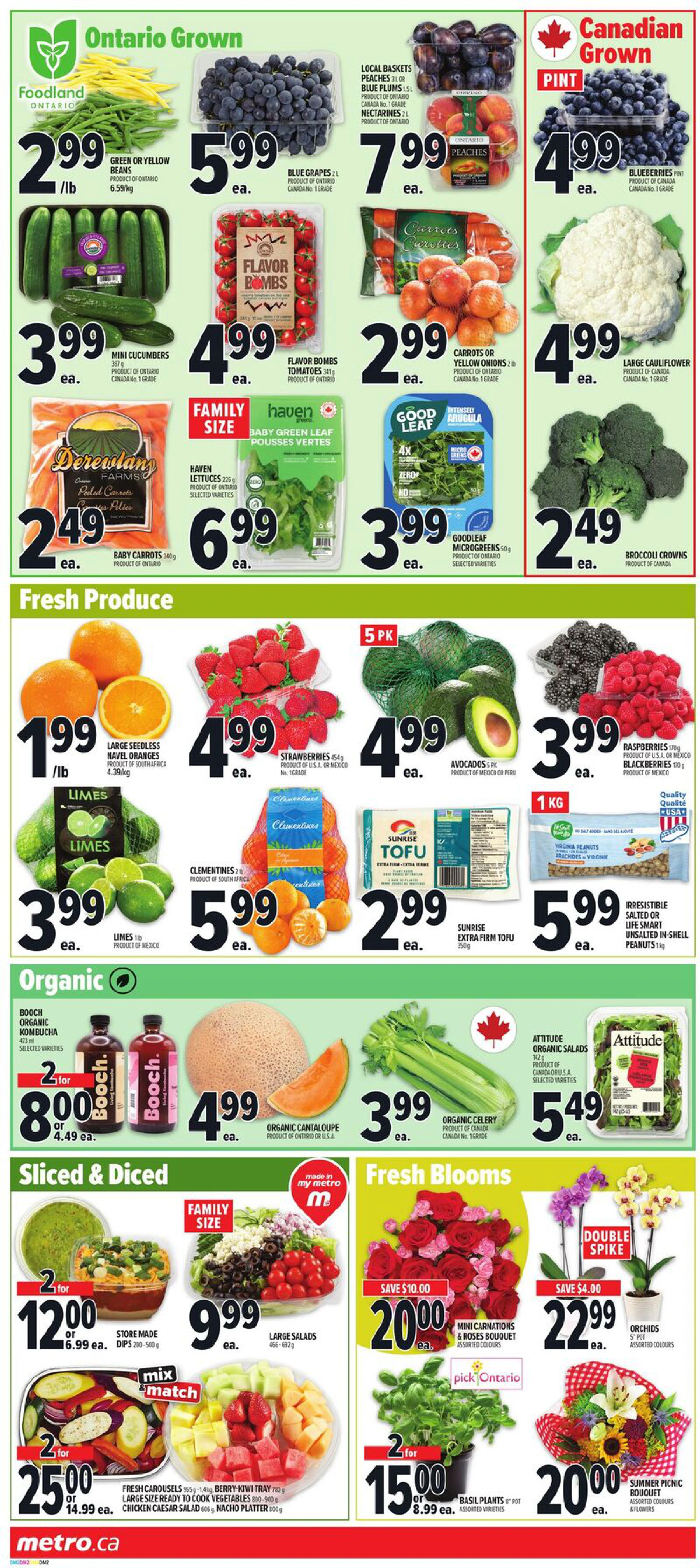 Flyer page 5