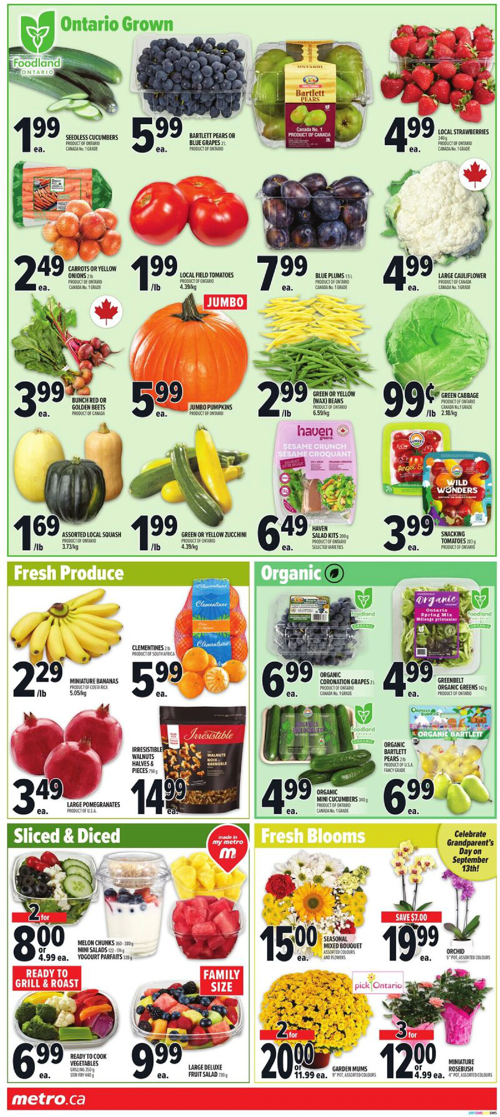 Metro Ontario Weekly Flyer V1 - Base GTA MSF ECOMM SKP INS - Page 7