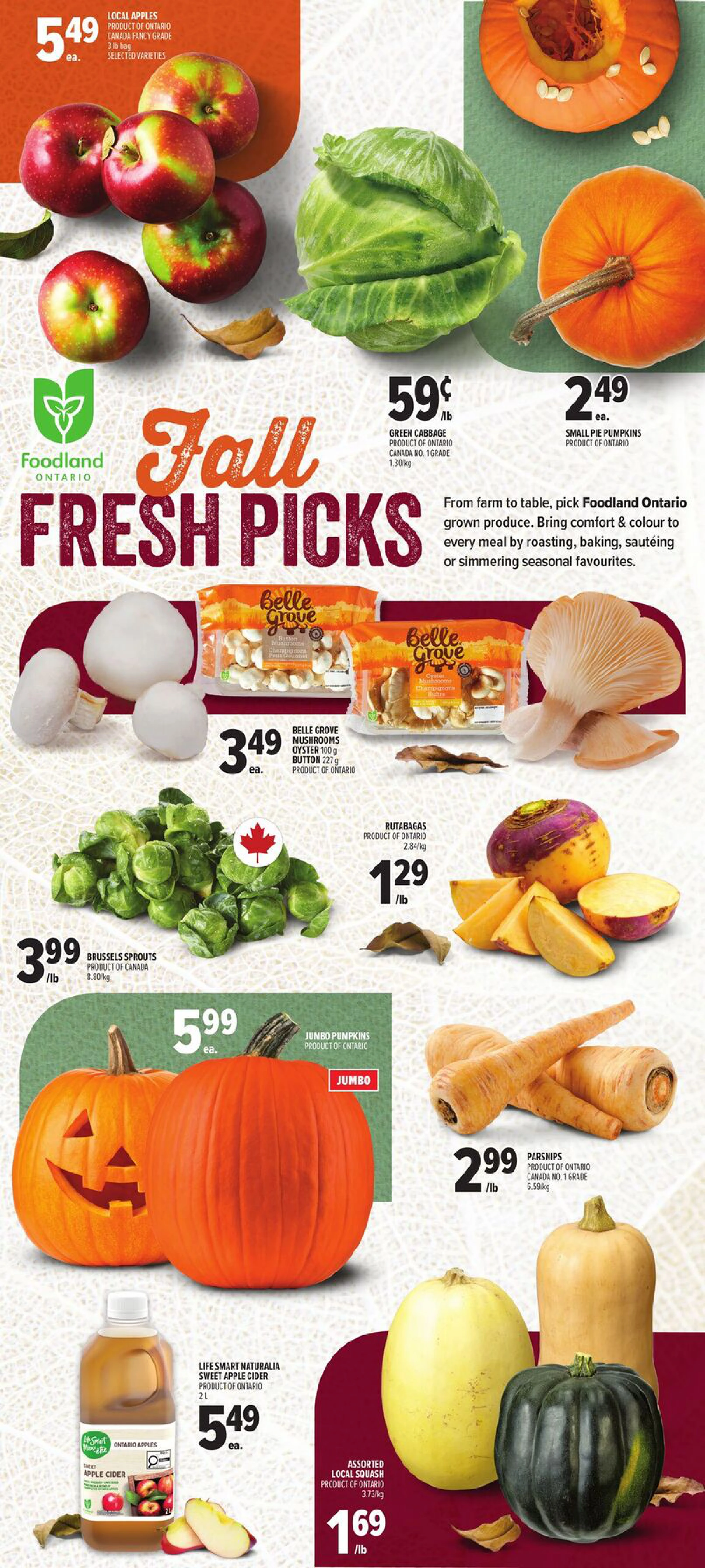Metro Ontario Weekly Flyer V1 - Base MSF ECOMM SKP INS - Page 6