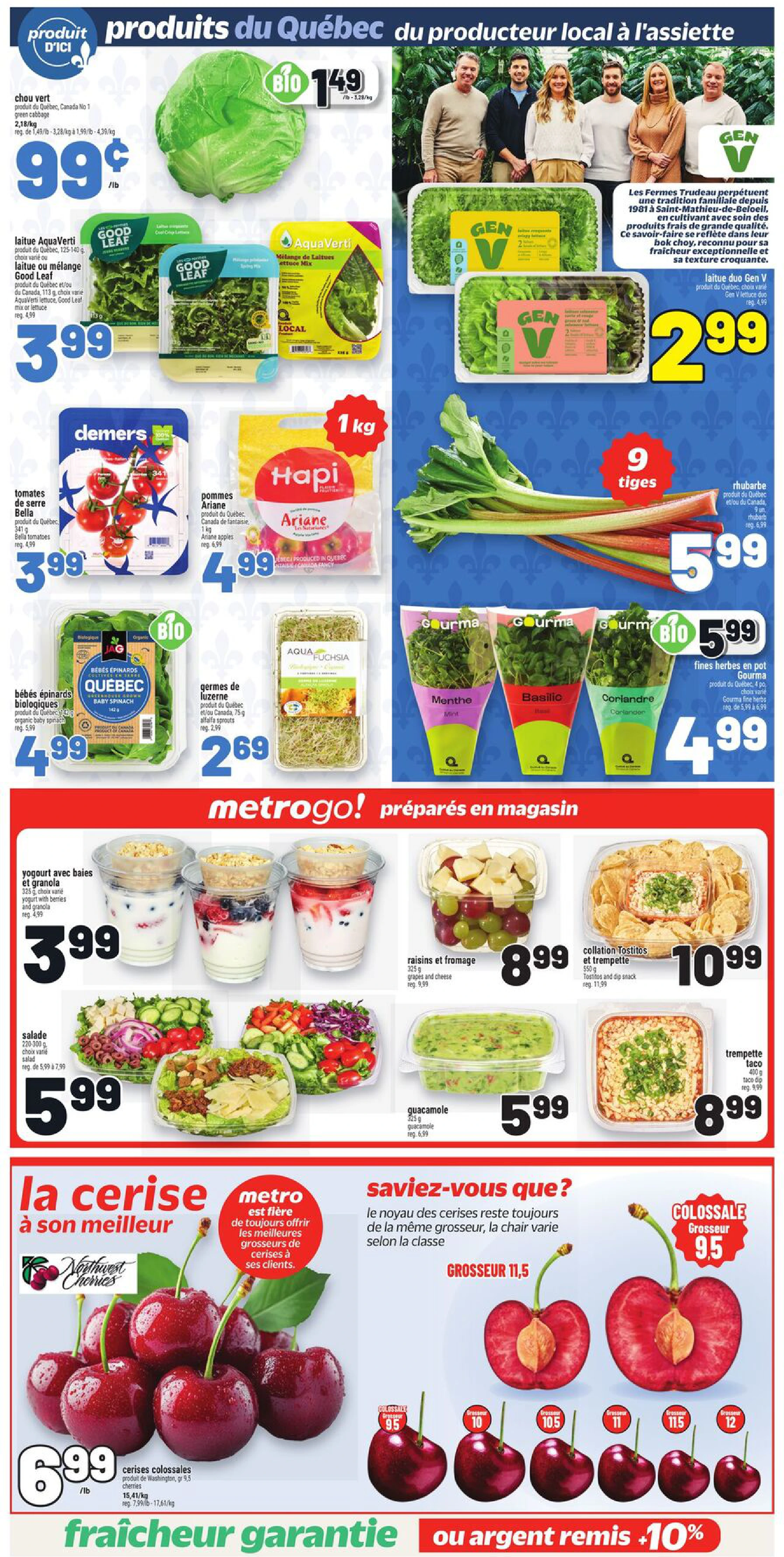 Flyer page 7