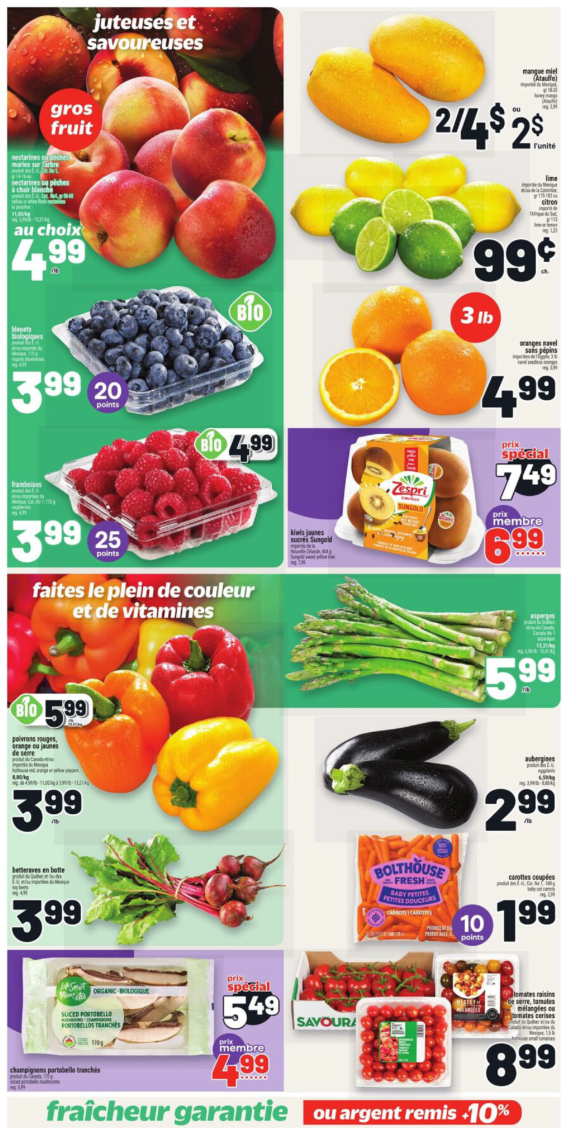 Flyer page 5