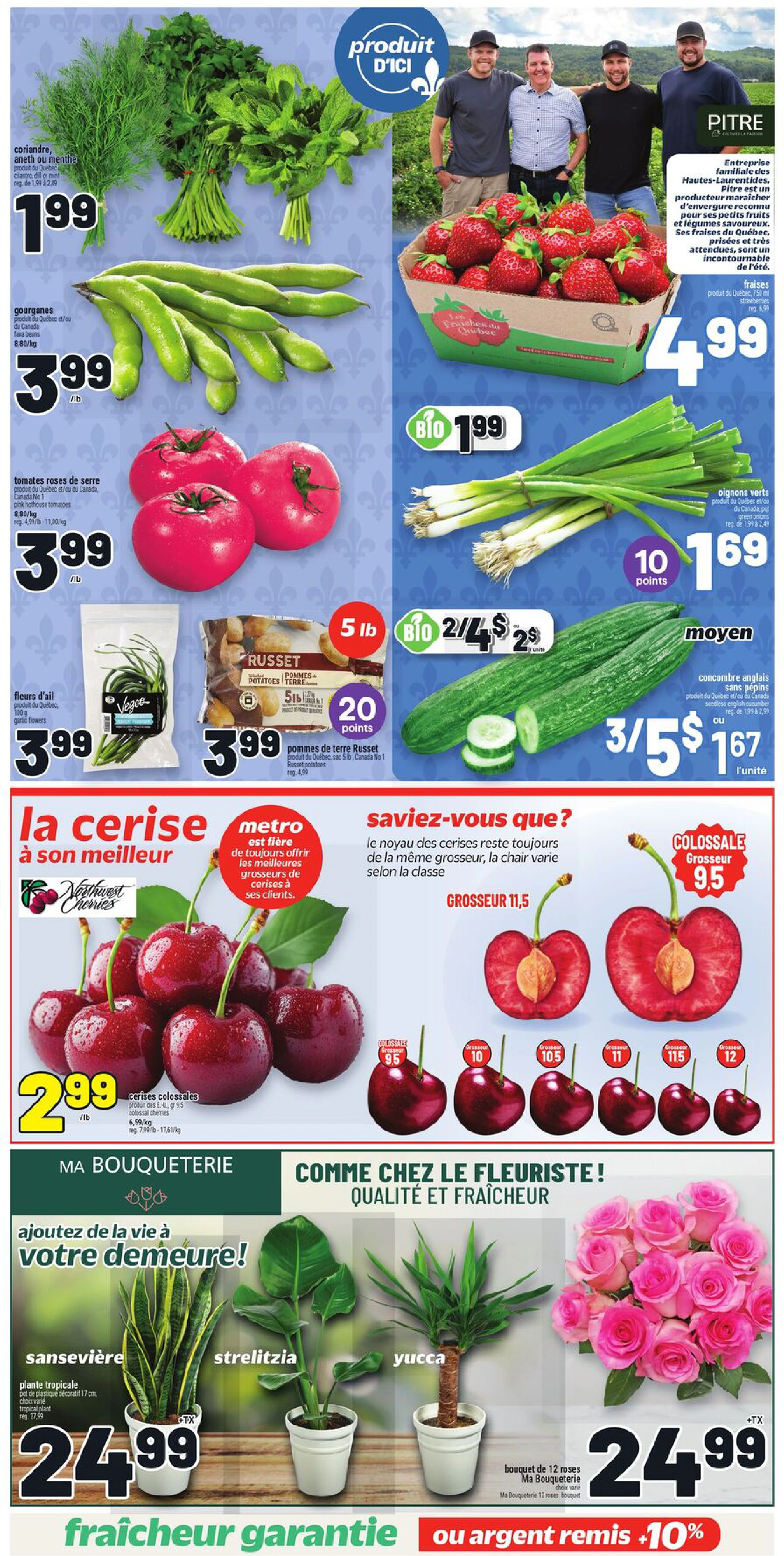 Flyer page 6