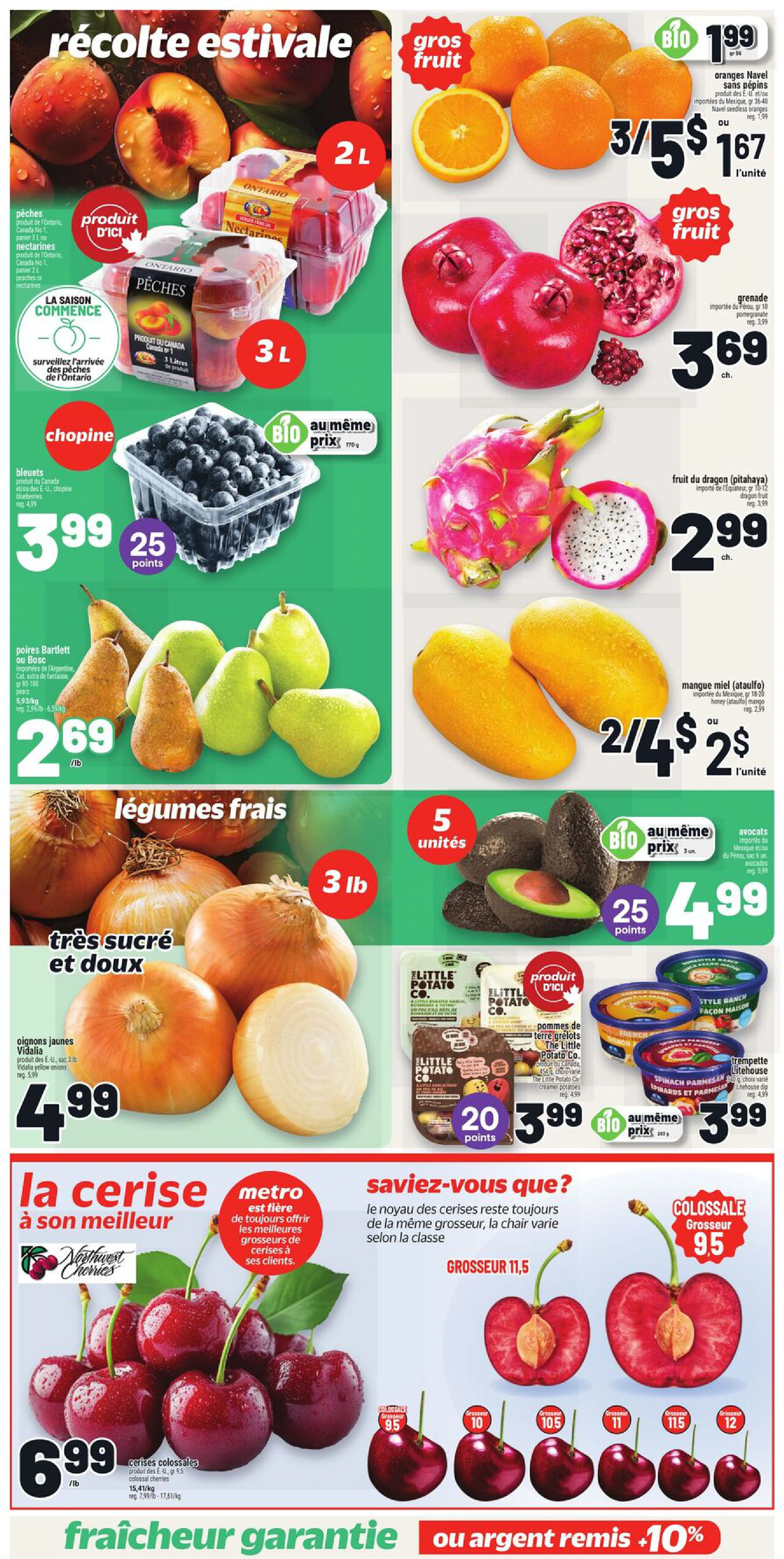 Flyer page 5