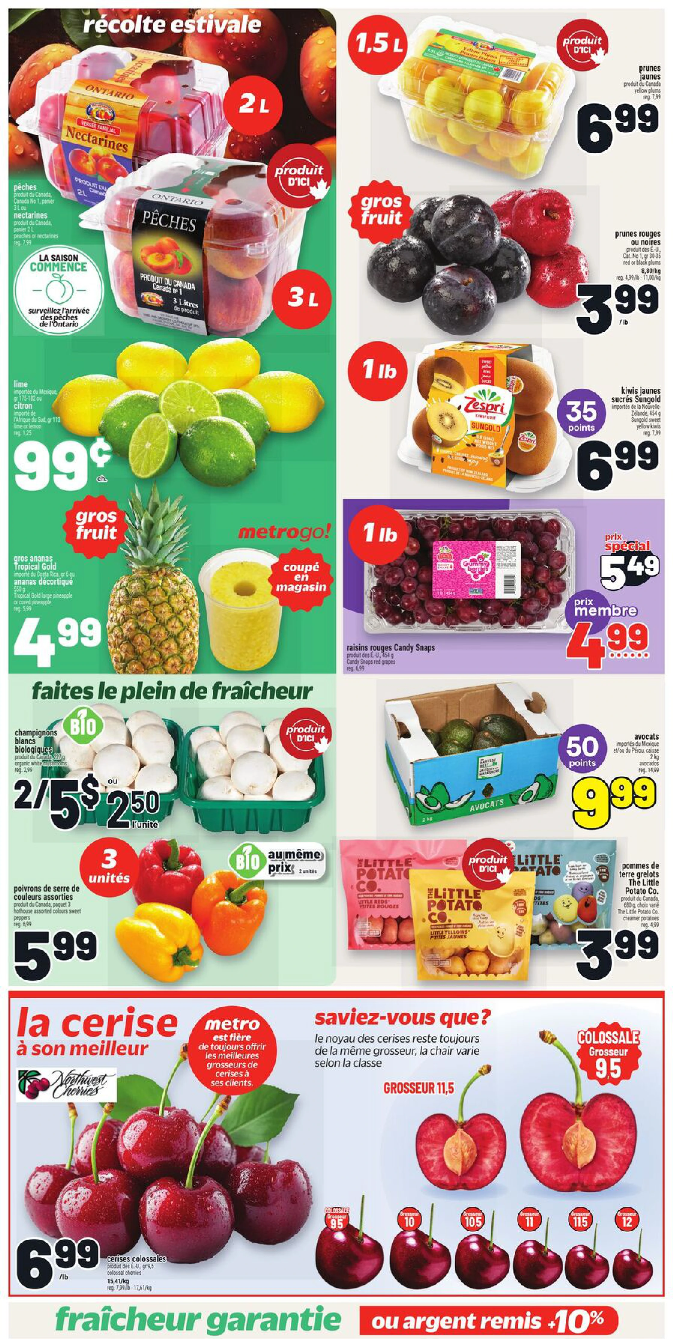 Flyer page 5