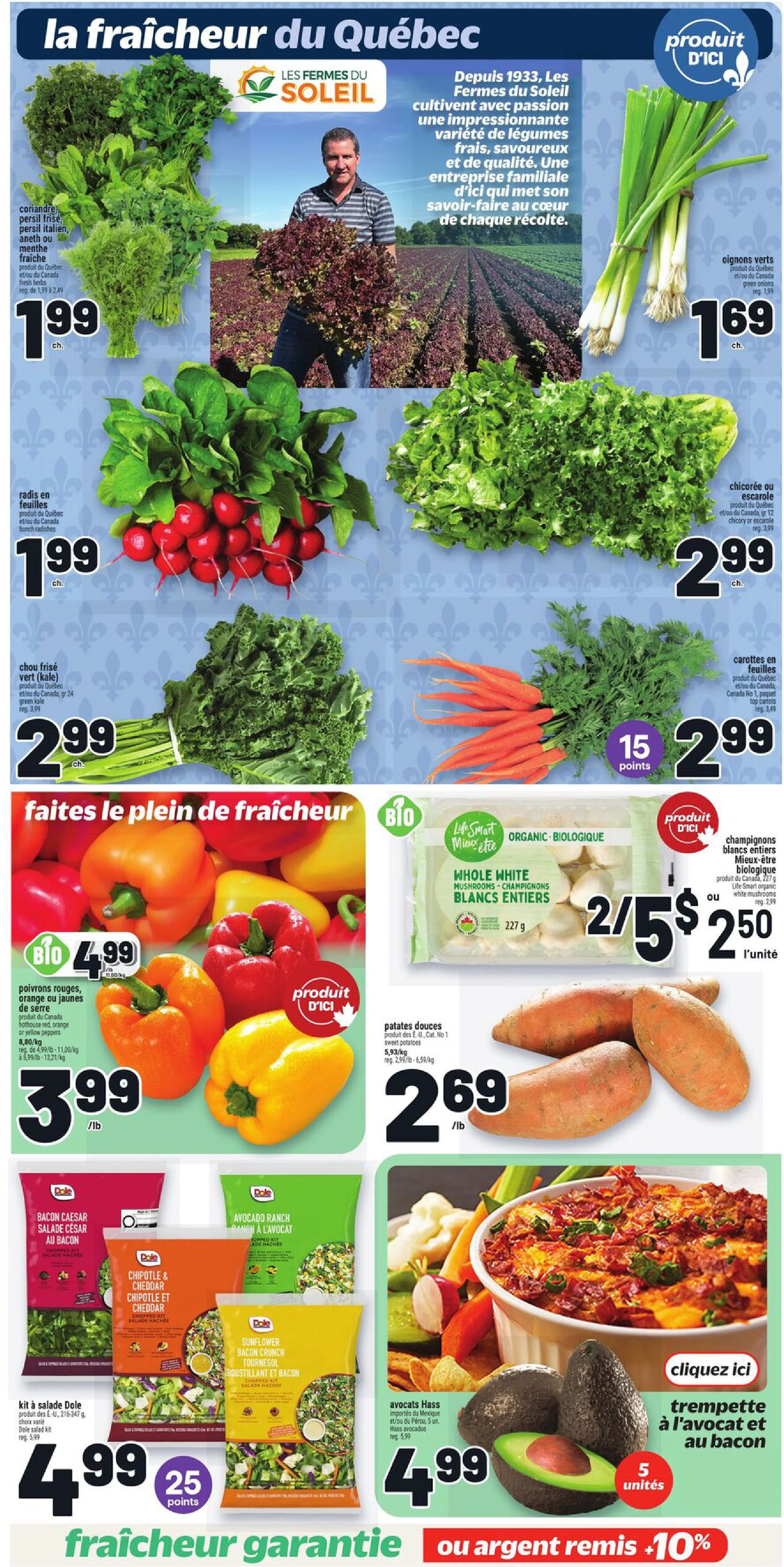 Flyer page 6