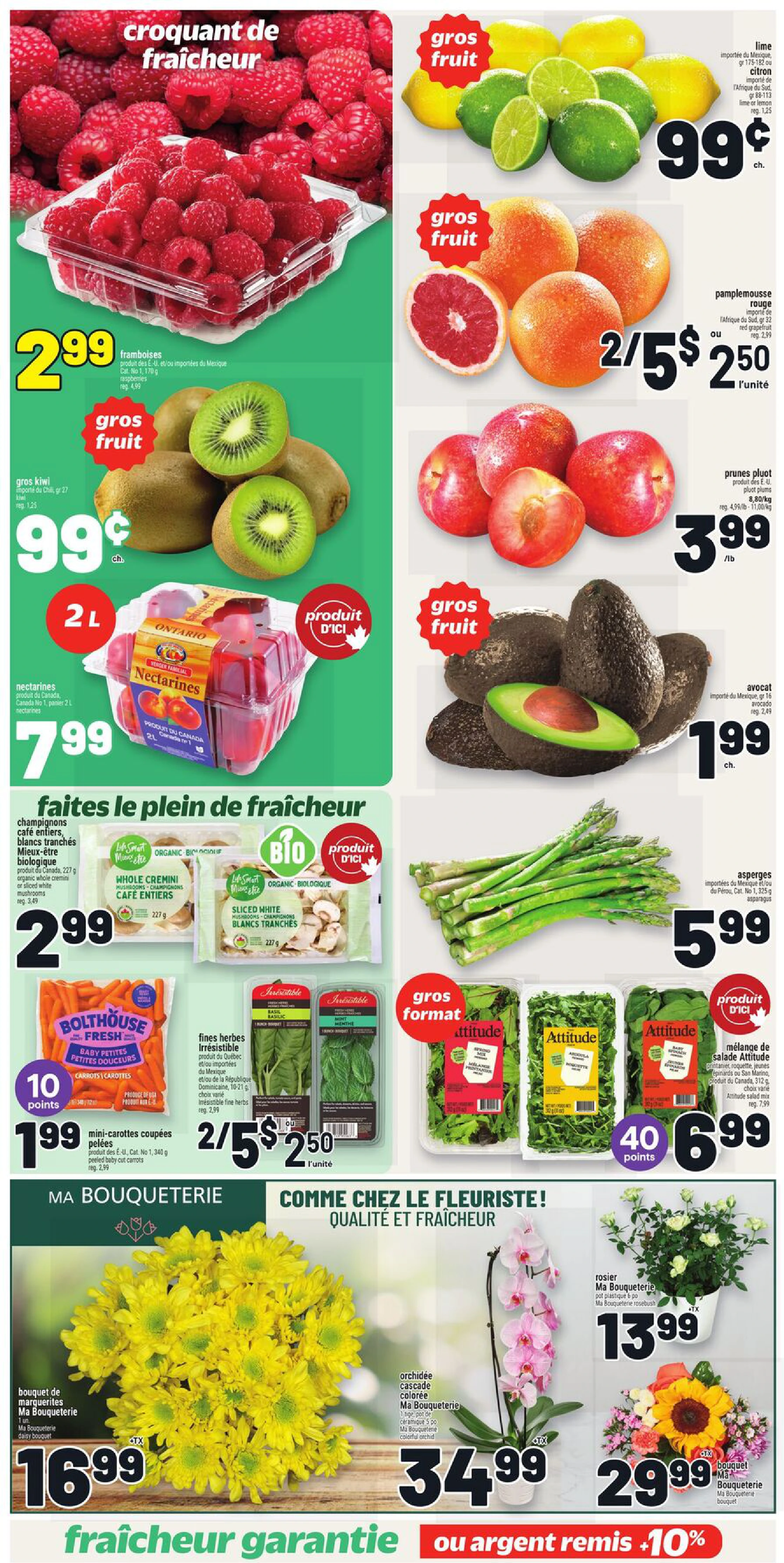 Flyer page 5