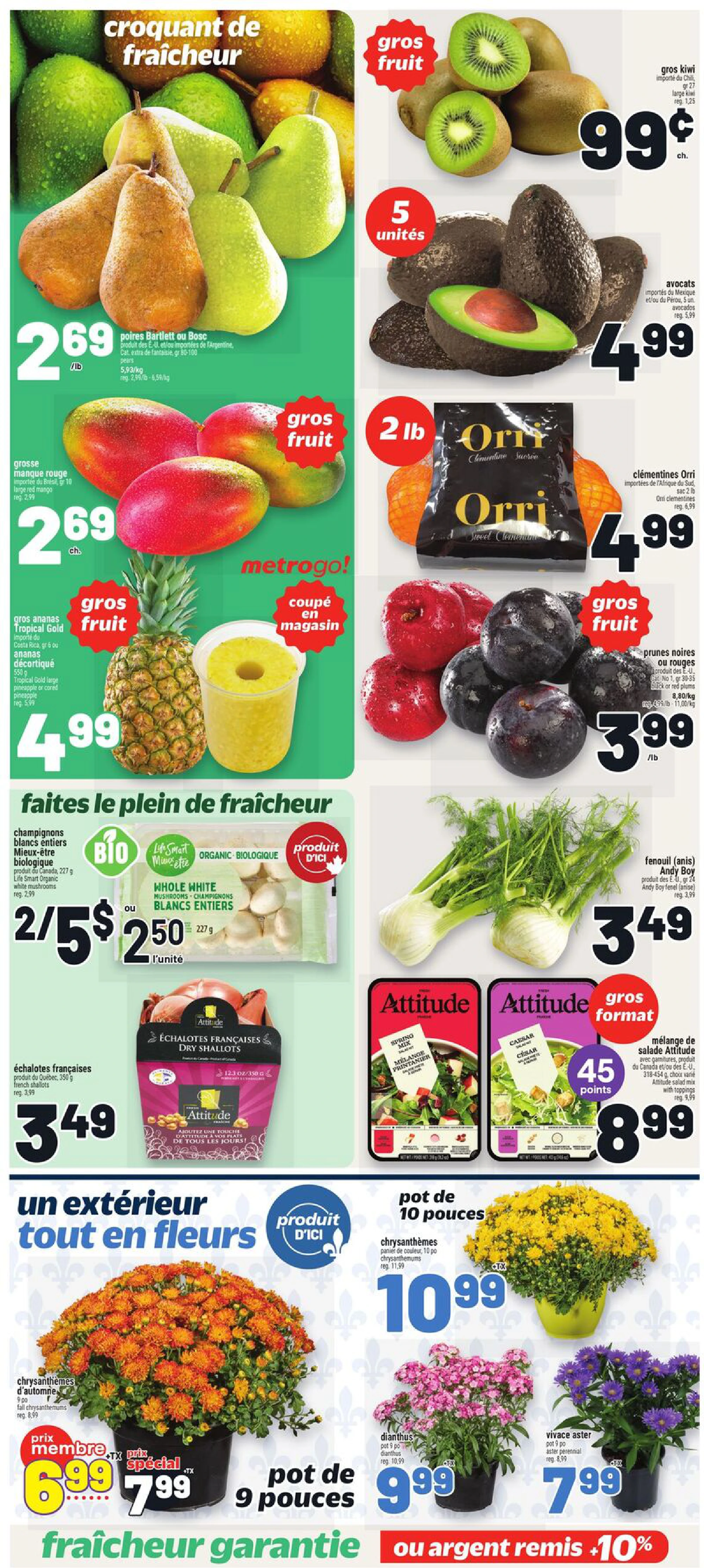 Flyer page 7