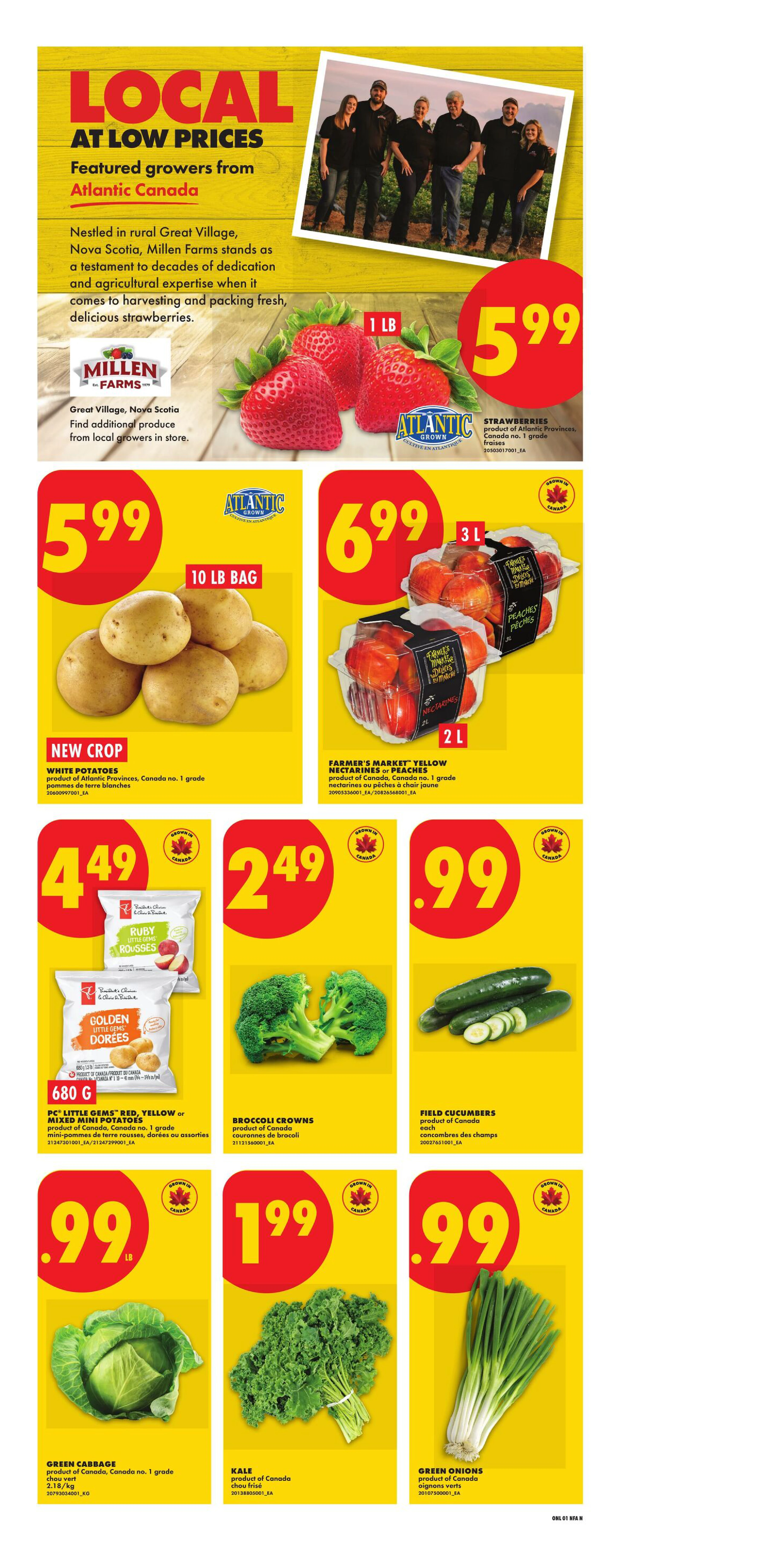 Flyer page 3