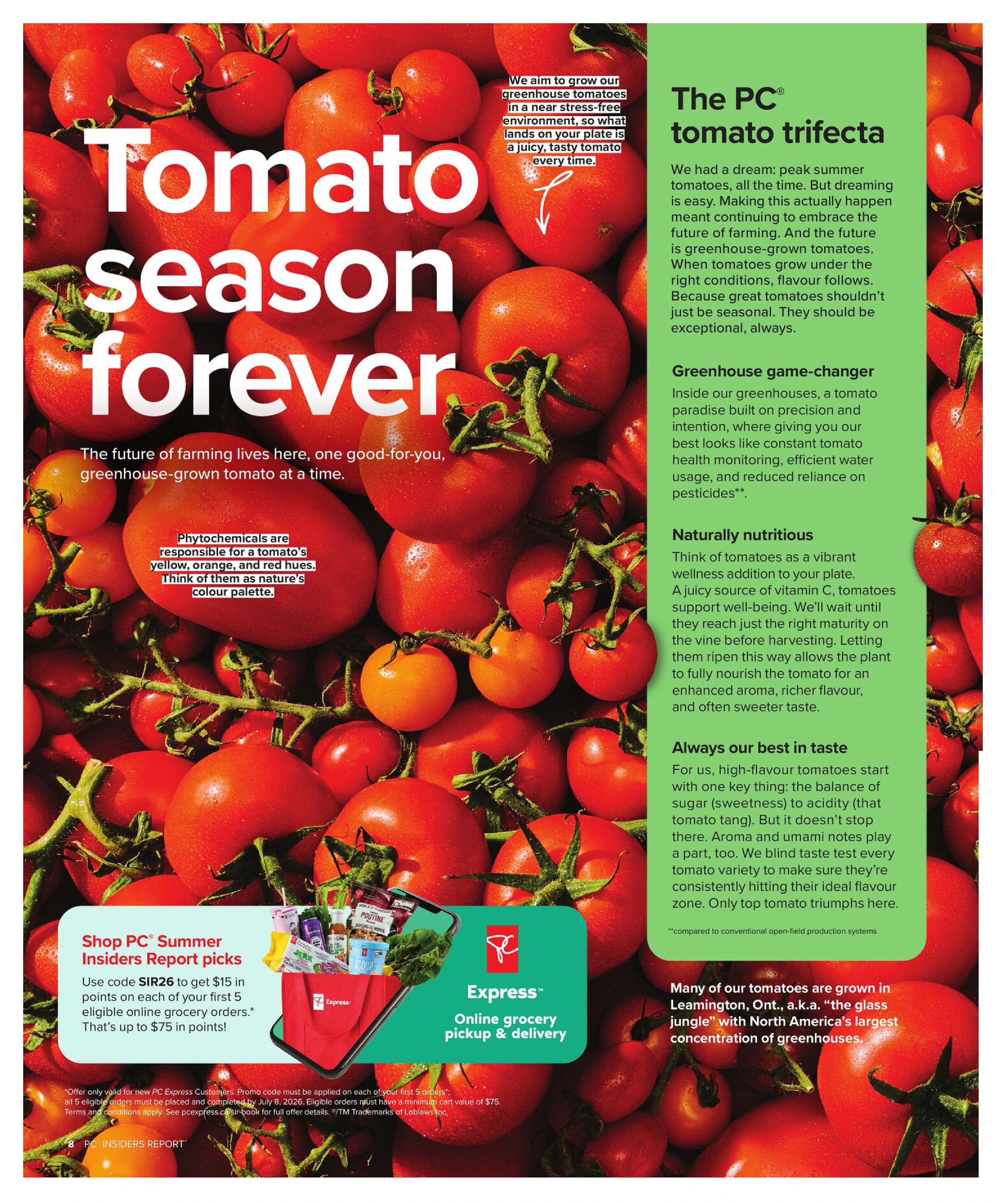 Flyer page 8