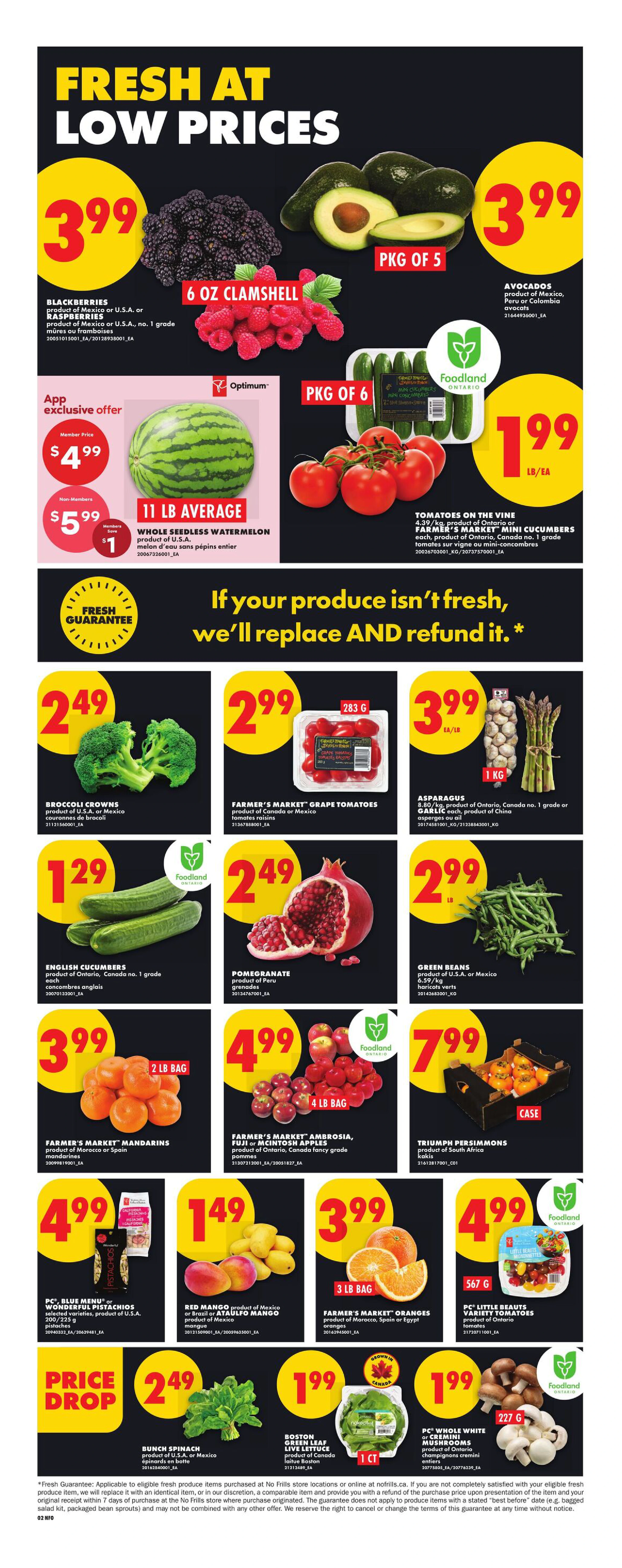 Flyer page 4