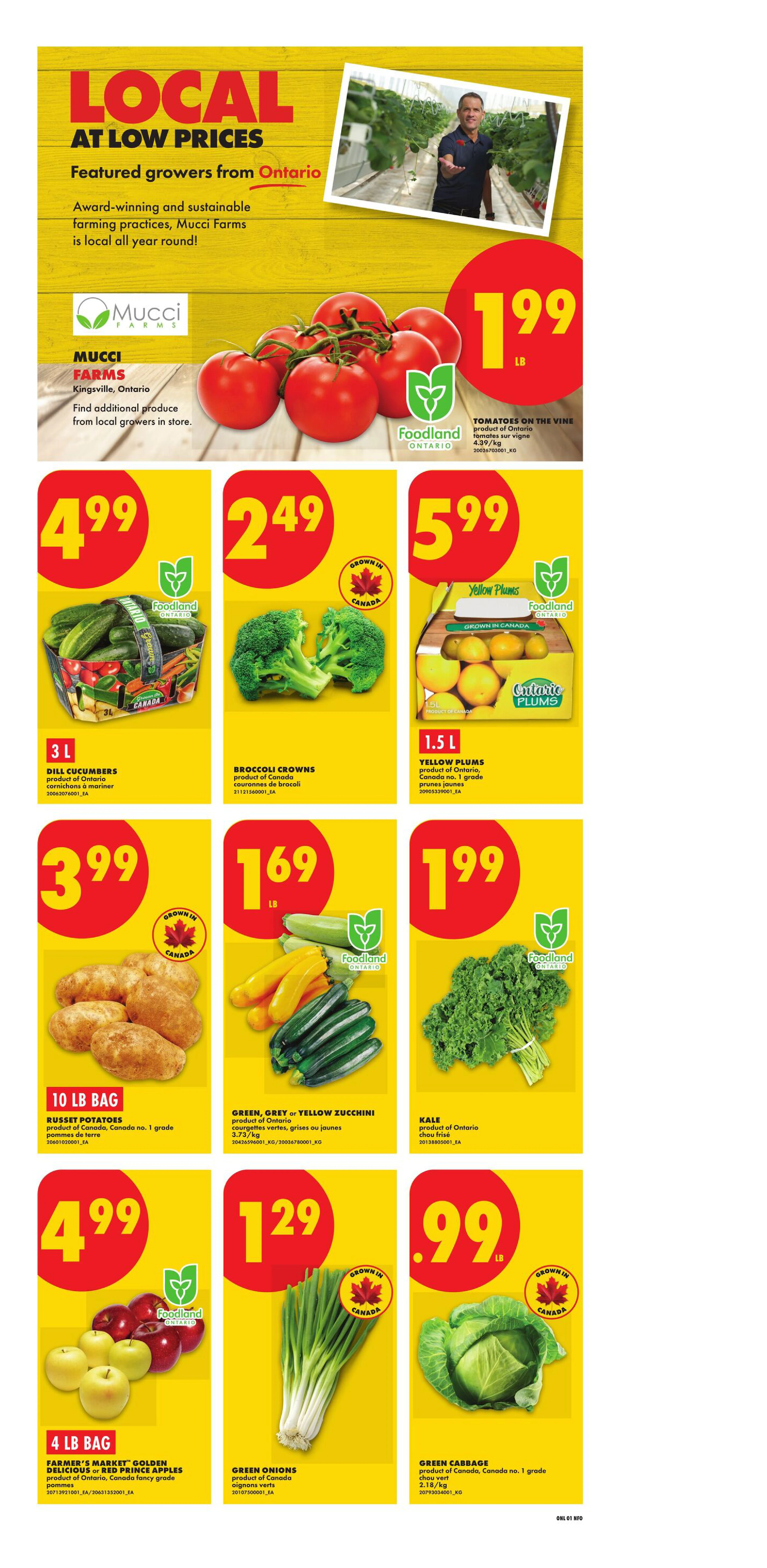 Flyer page 3
