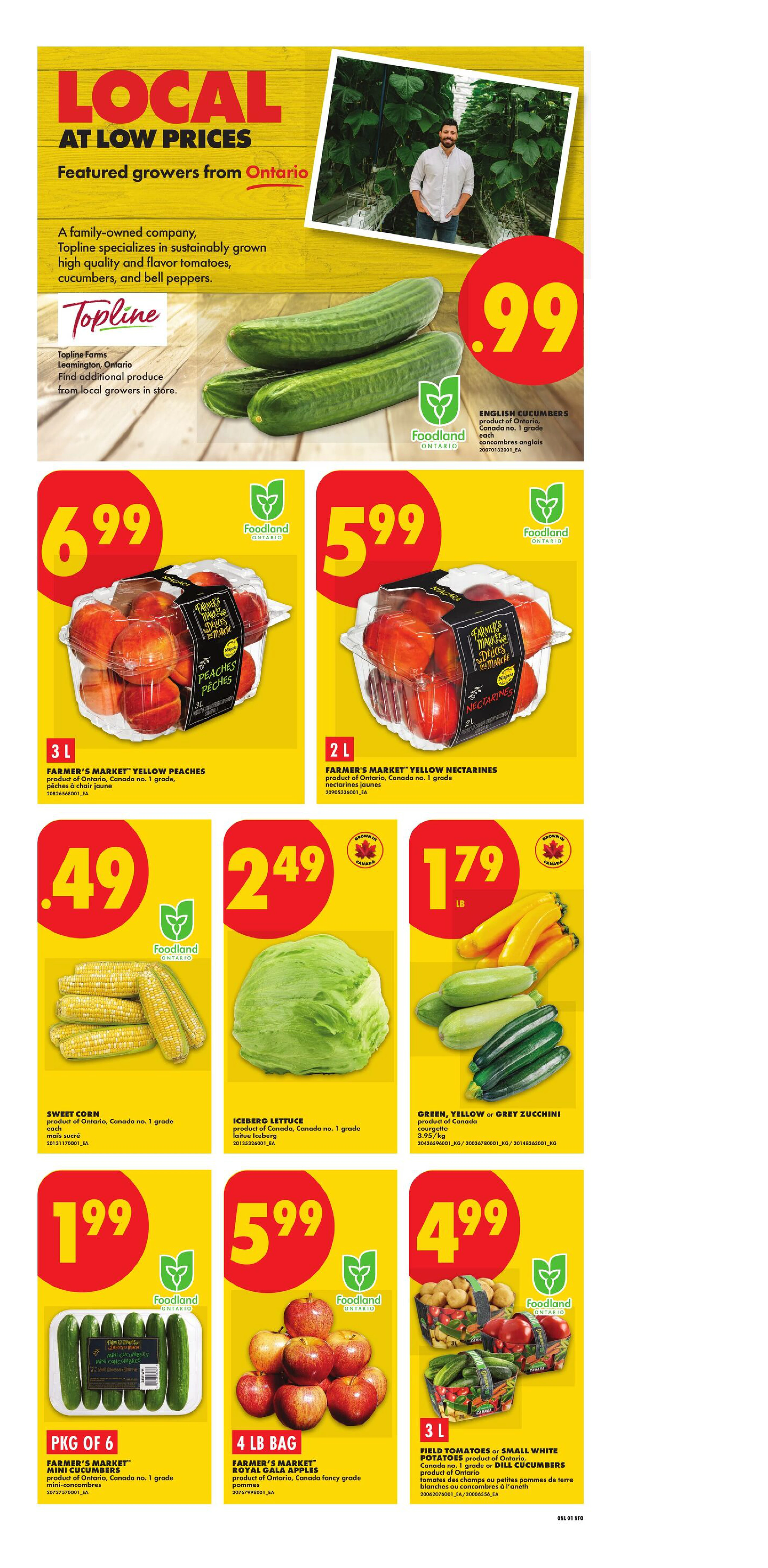 Flyer page 3