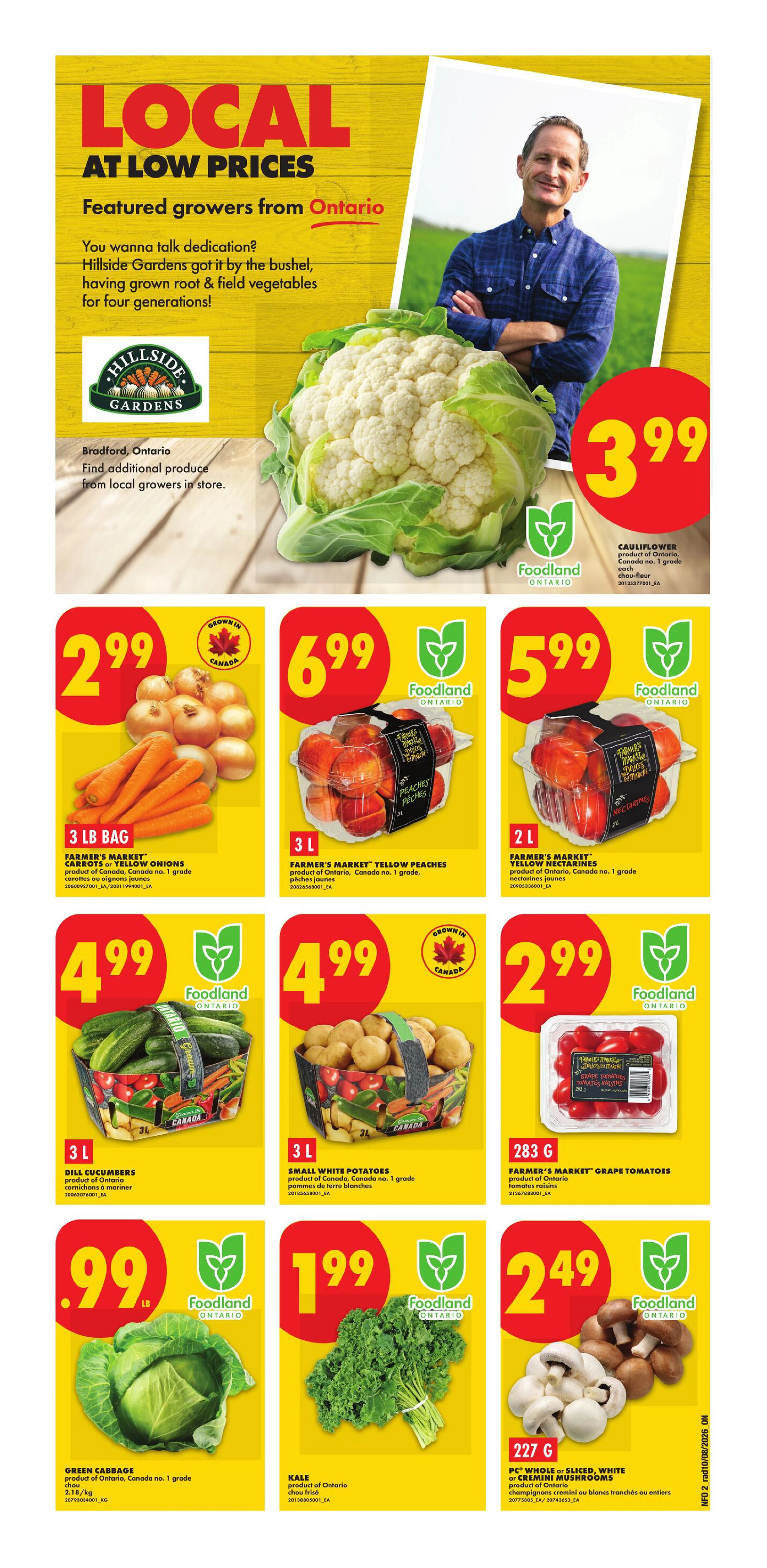 Flyer page 2