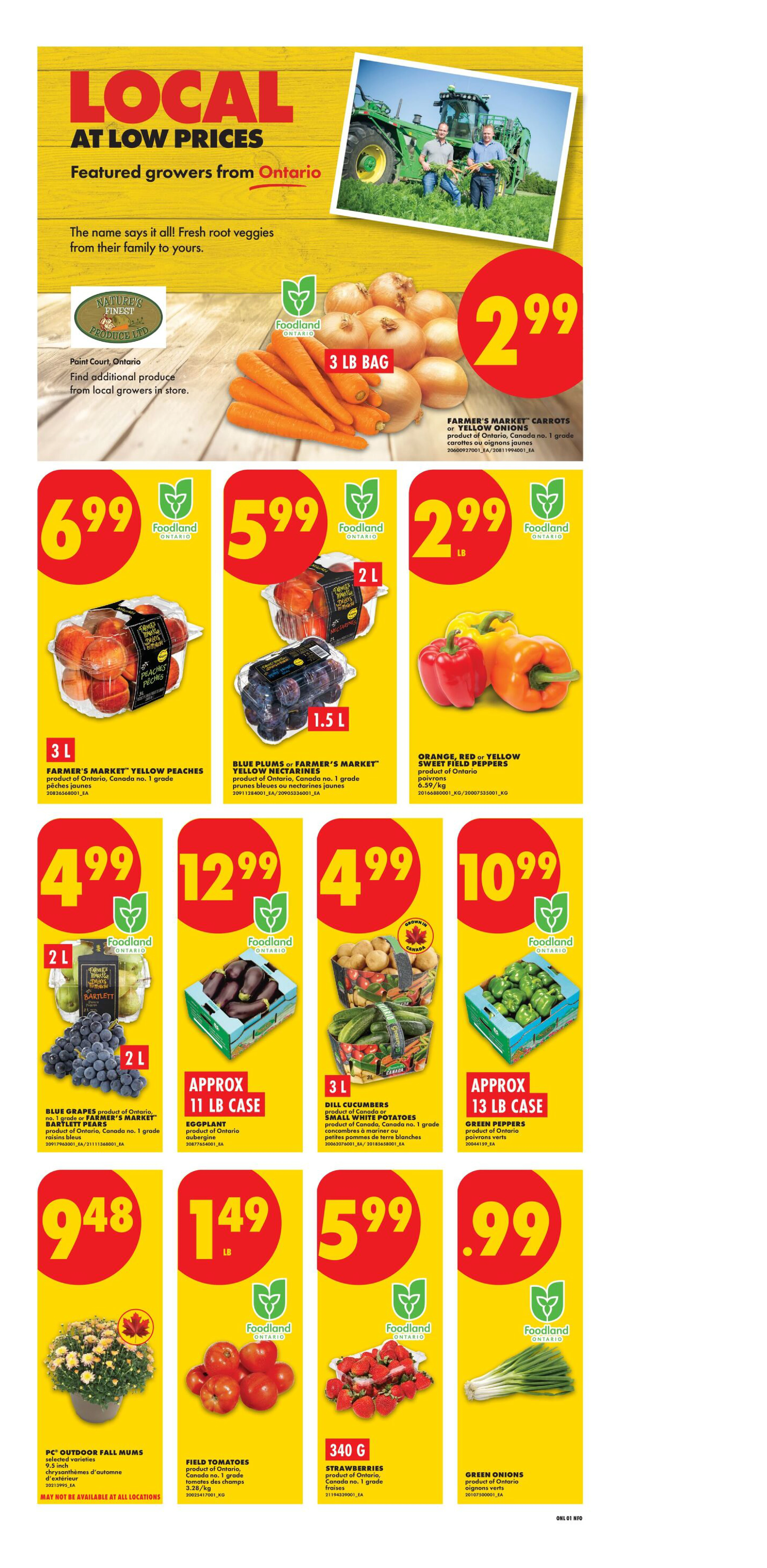 No Frills Ontario Weekly Flyer - Valid Thursday, August 27 - Wednesday, September 02 - Page 3