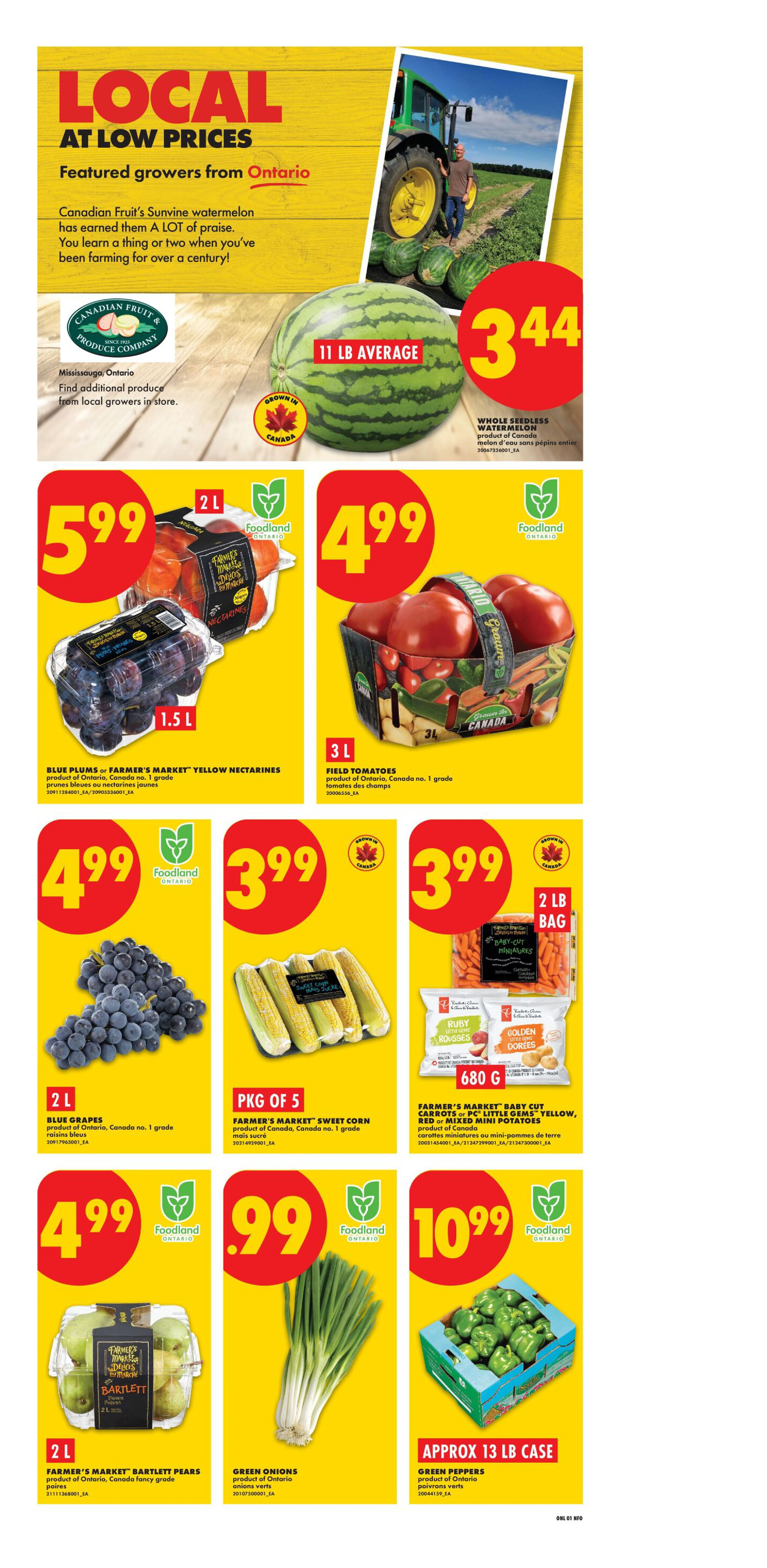 No Frills Ontario Weekly Flyer - Valid Thursday, September 03 - Wednesday, September 09 - Page 3