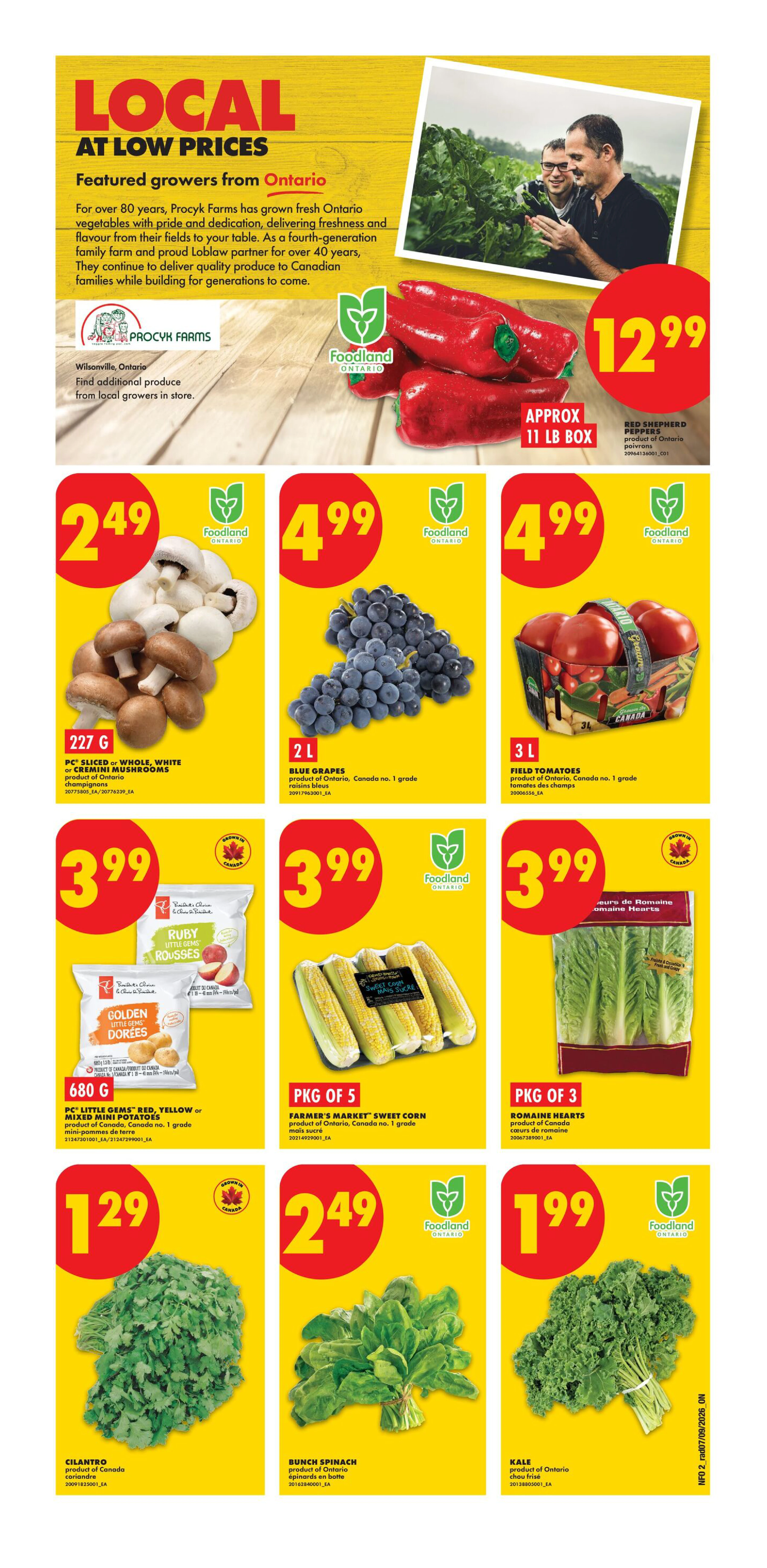 No Frills Ontario Weekly Flyer - Valid Thursday, September 10 - Wednesday, September 16 - Page 2