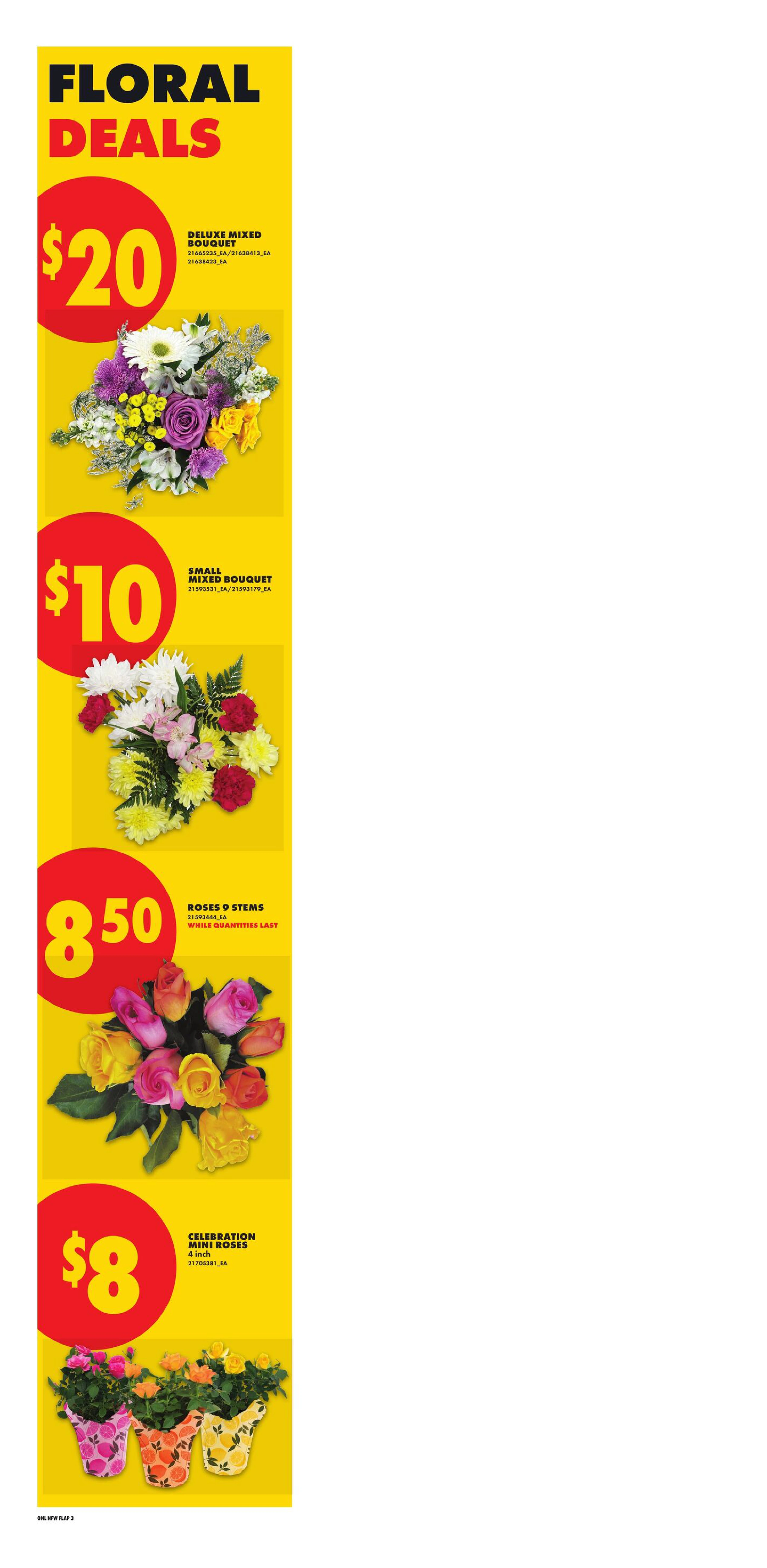 Flyer page 10