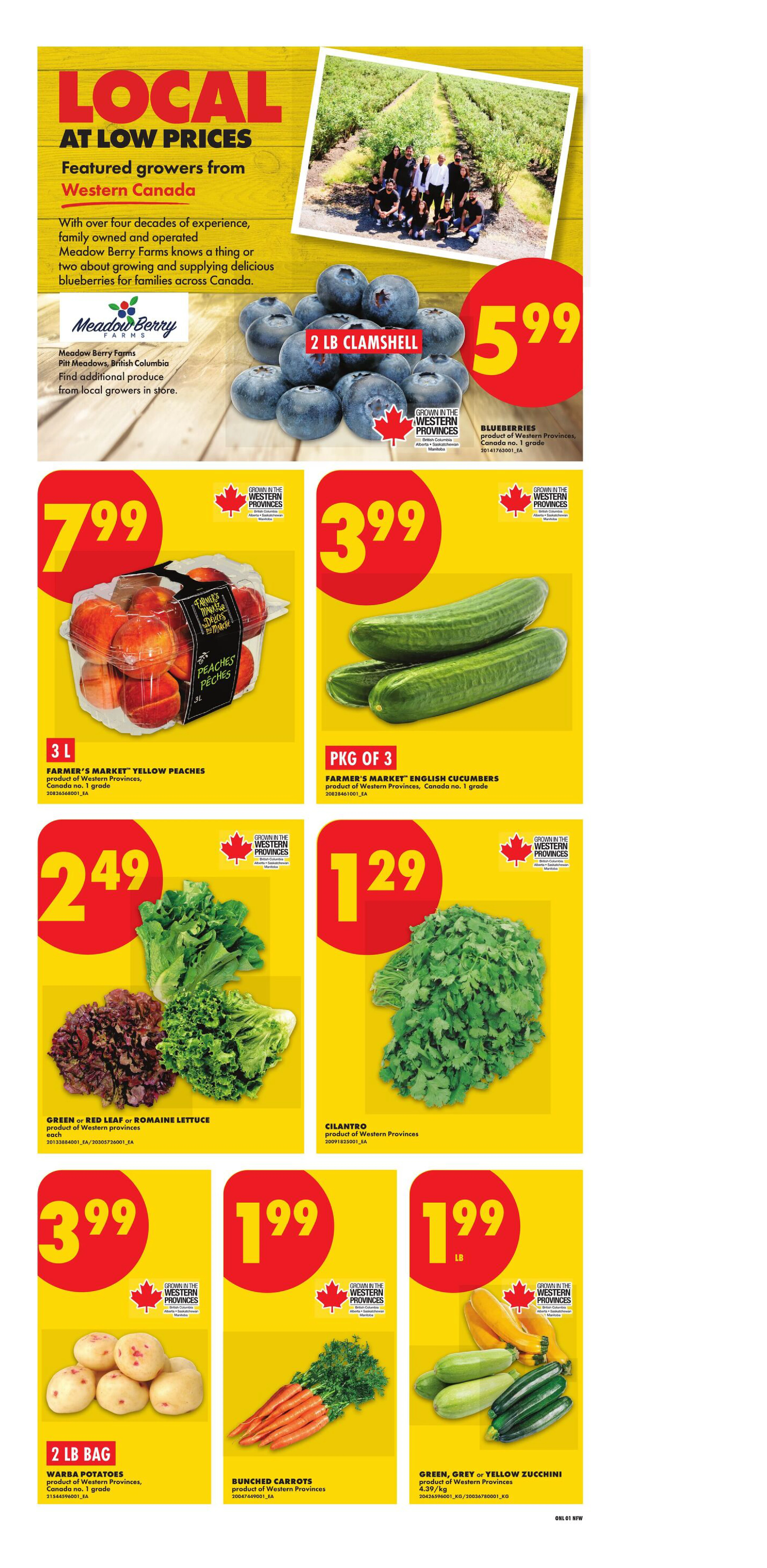 Flyer page 3