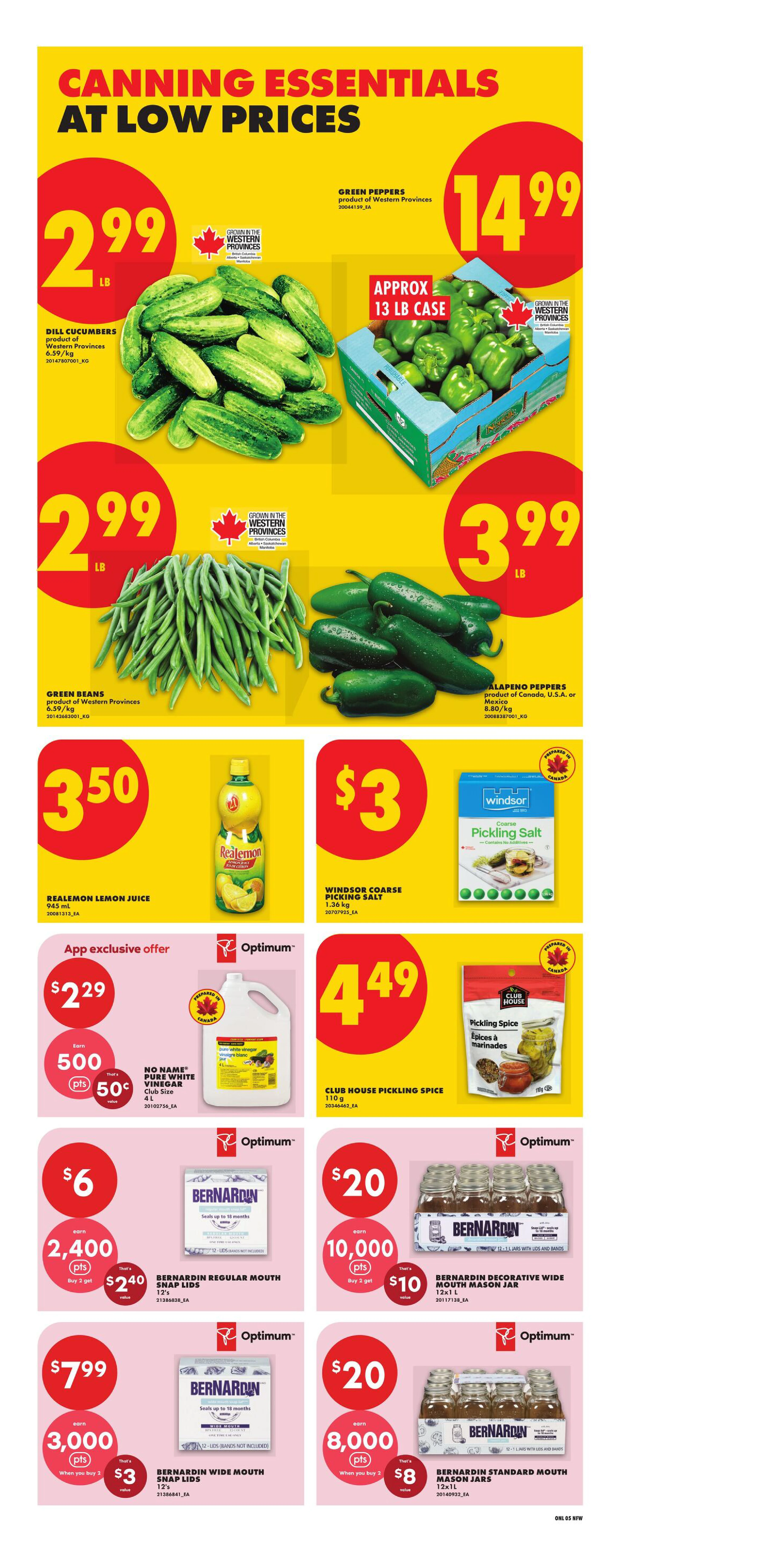 Flyer page 13
