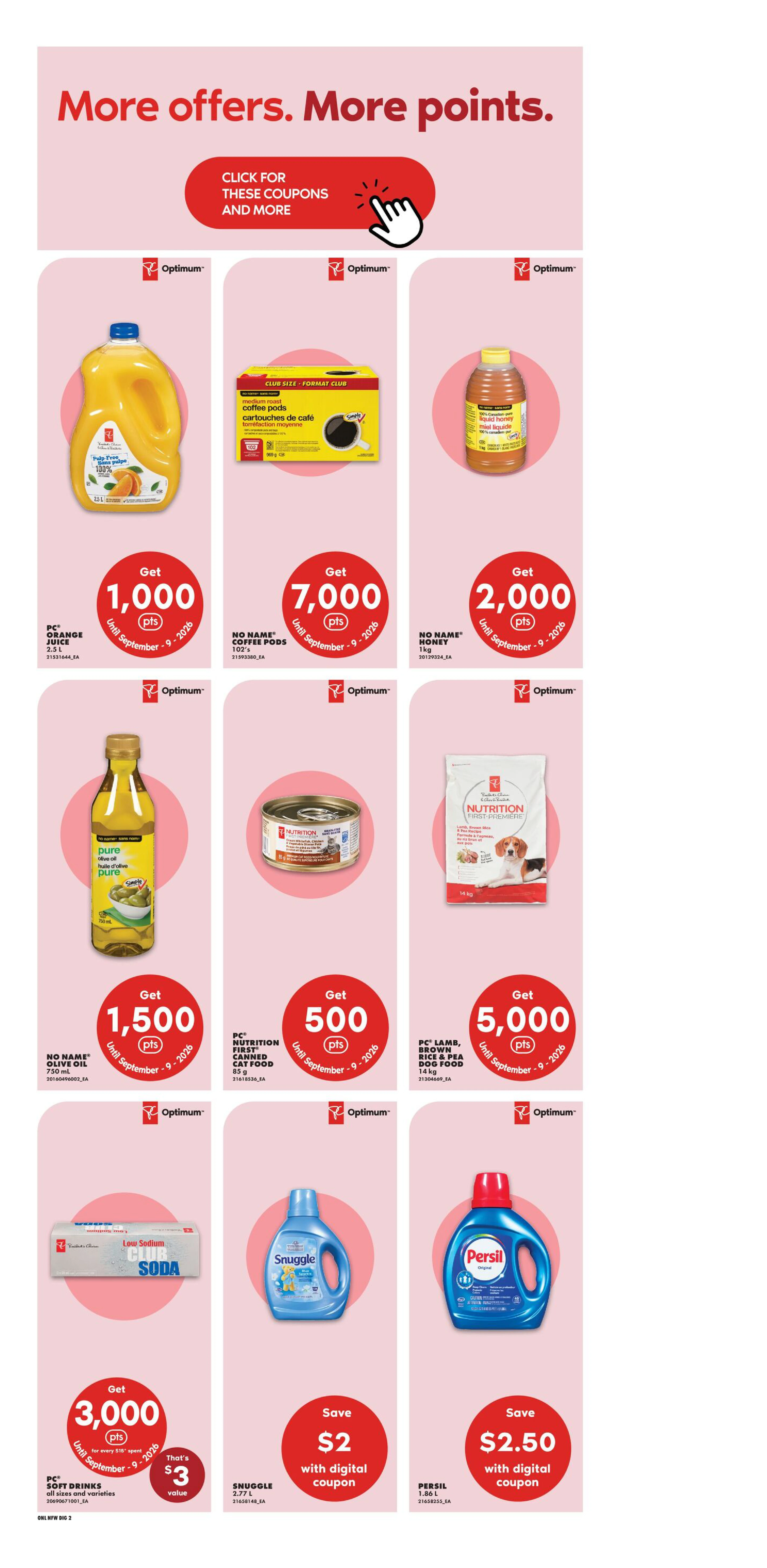 Flyer page 13