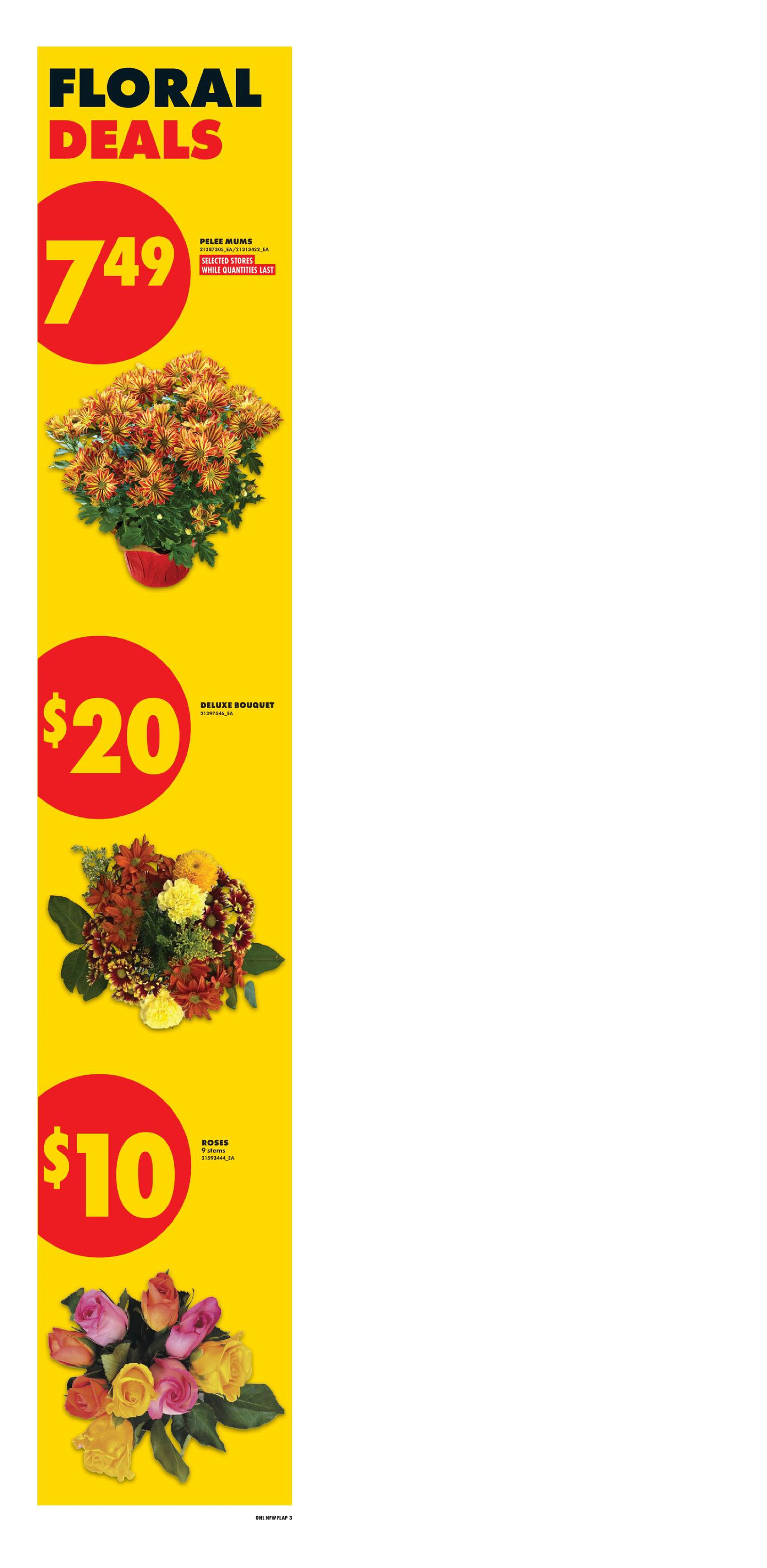 No Frills West Weekly Flyer - Valid Thursday, October 8 - Wednesday, October 14 - Page 11