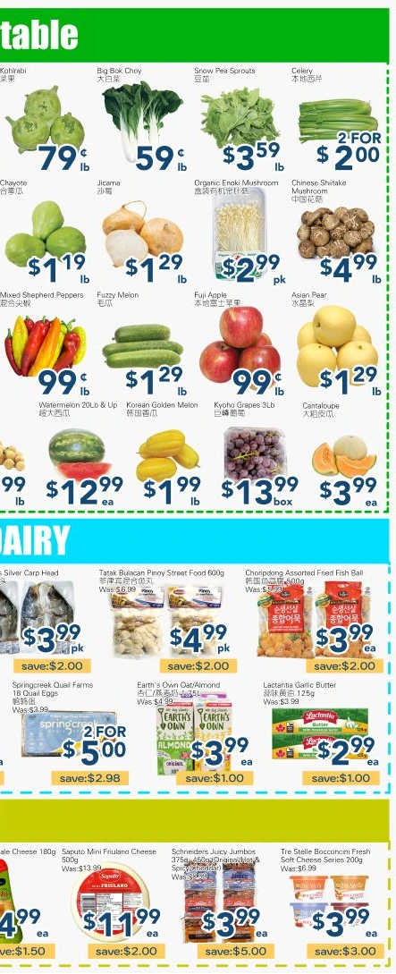 Flyer page 4