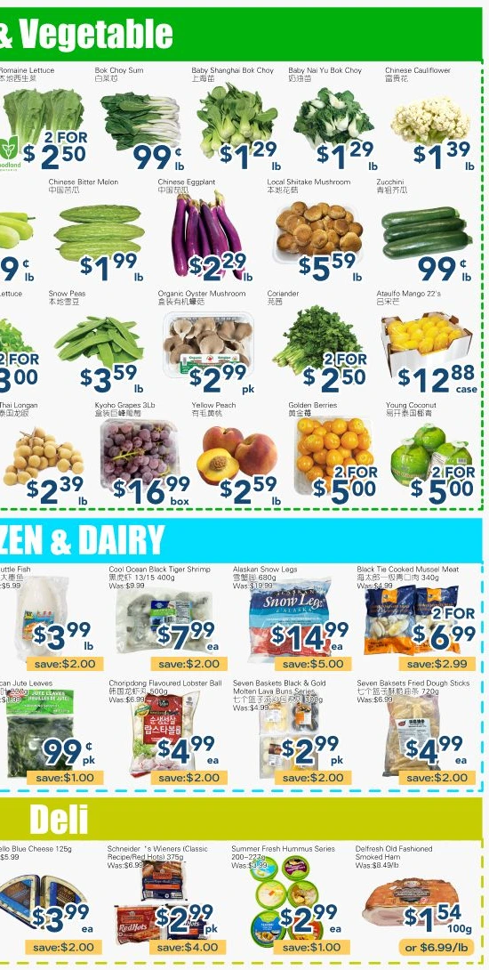 Flyer page 4