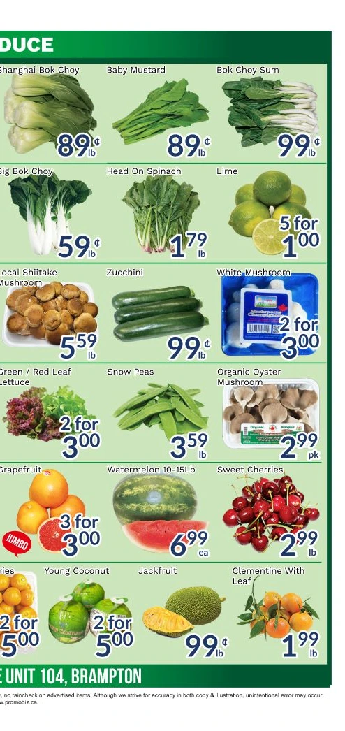 Flyer page 4