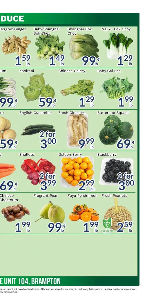 Oceans Westdrive Brampton Weekly Flyer - Page 4