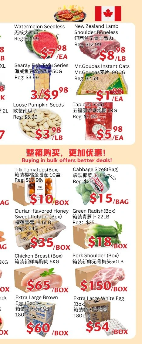 Flyer page 8
