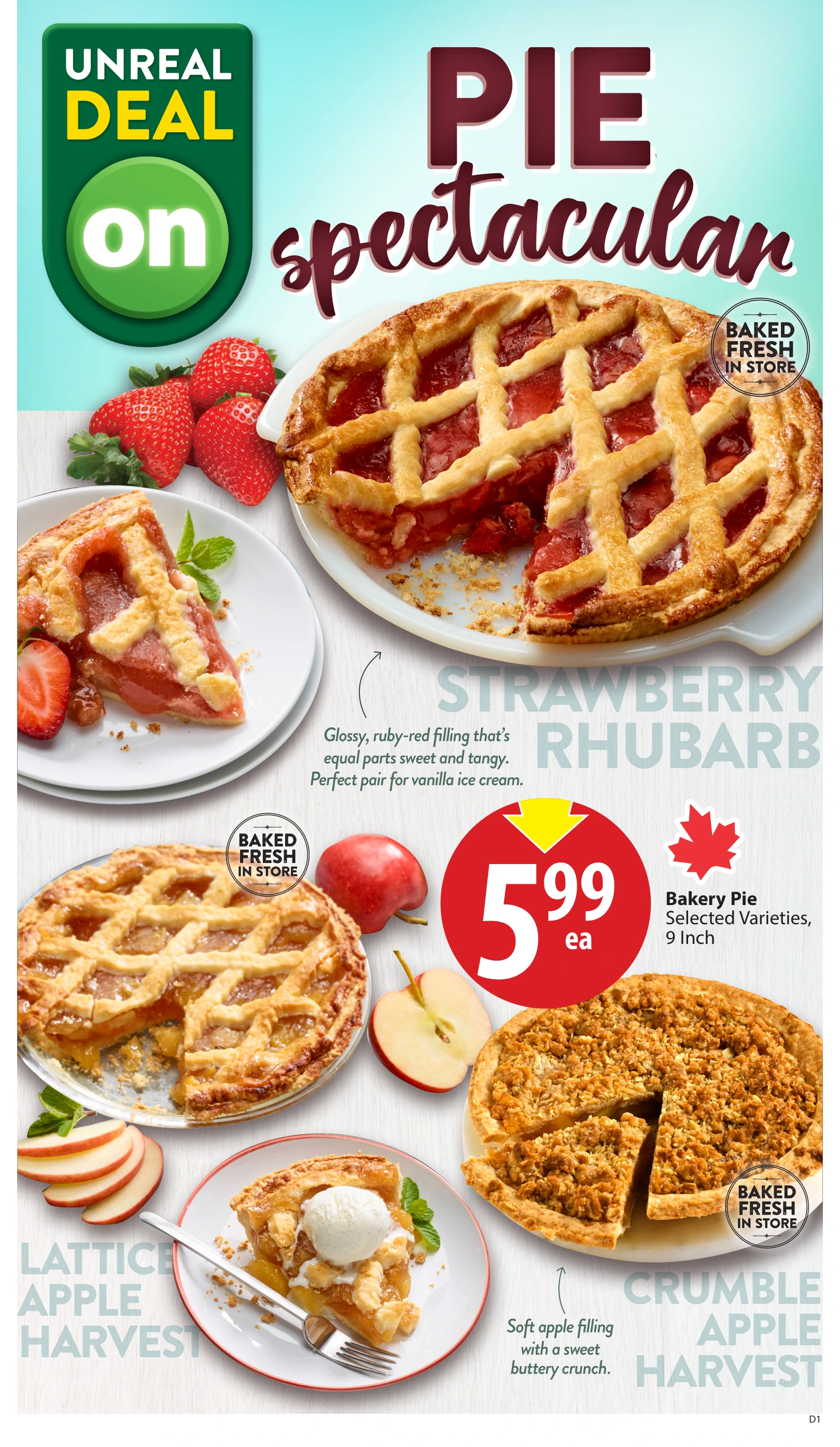 Flyer page 7