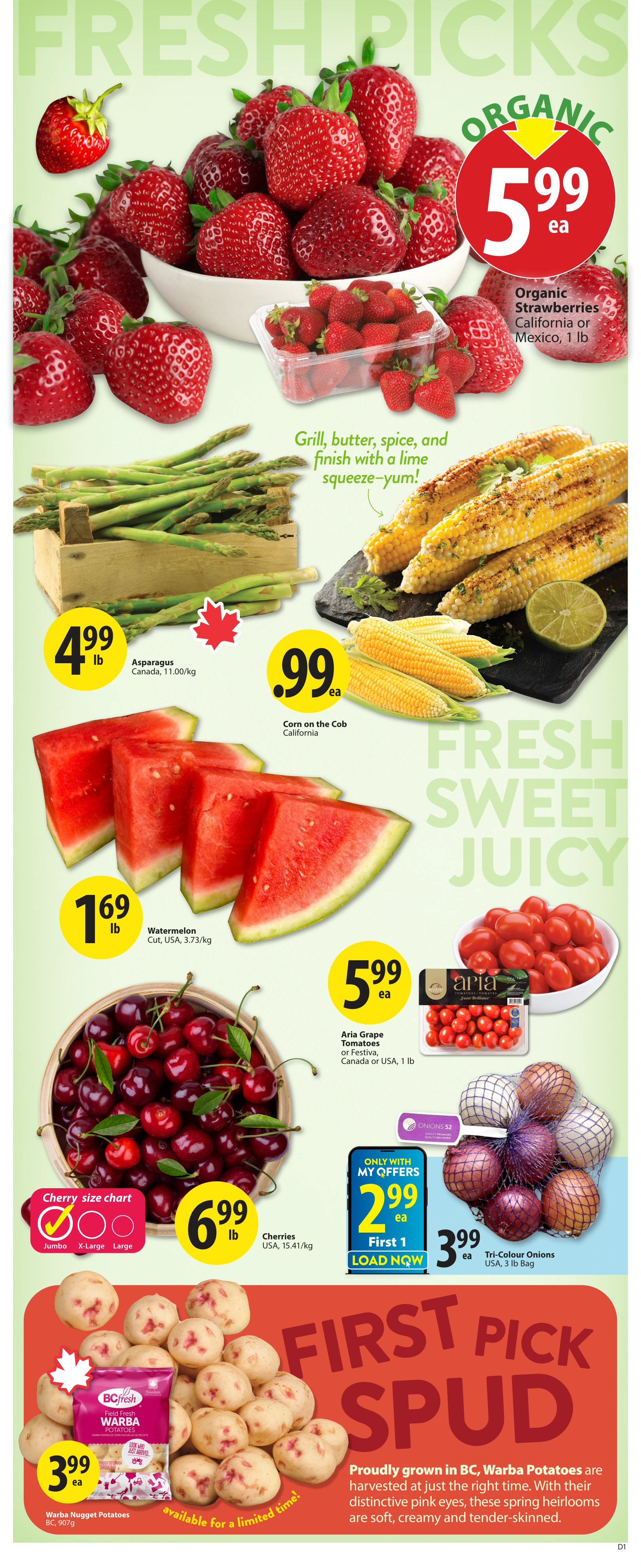 Flyer page 2