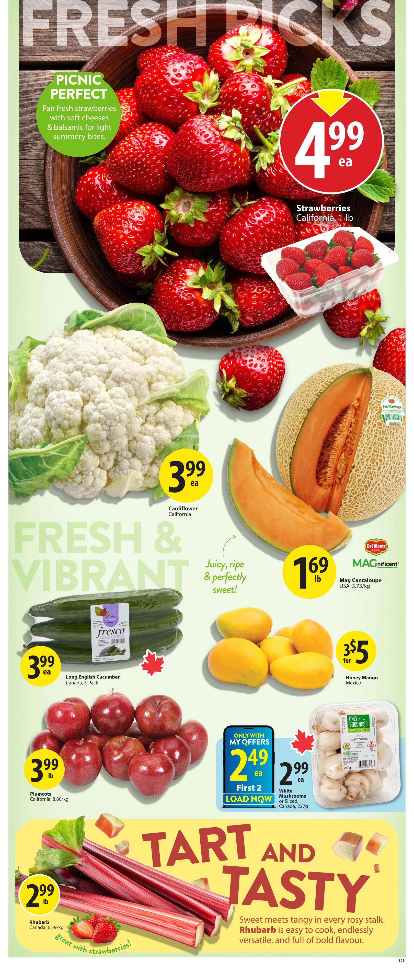 Flyer page 3