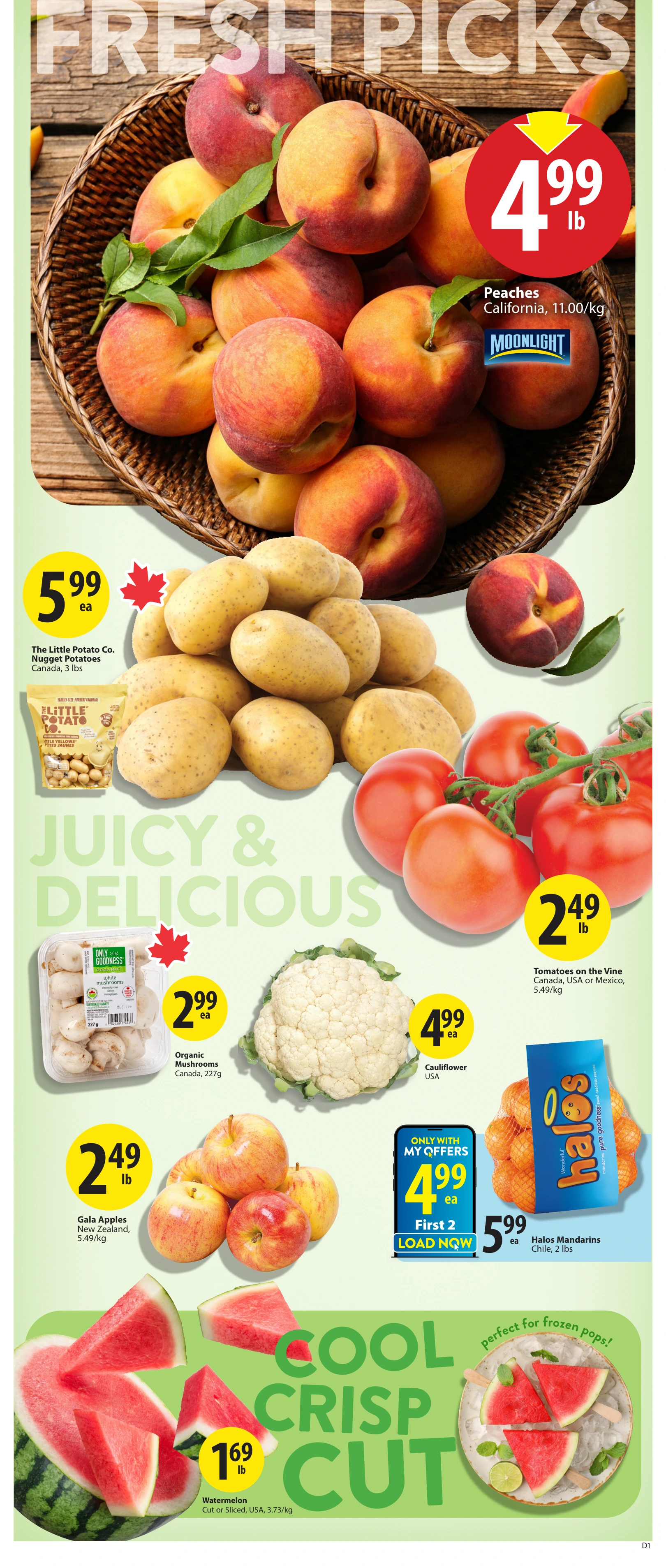 Flyer page 3