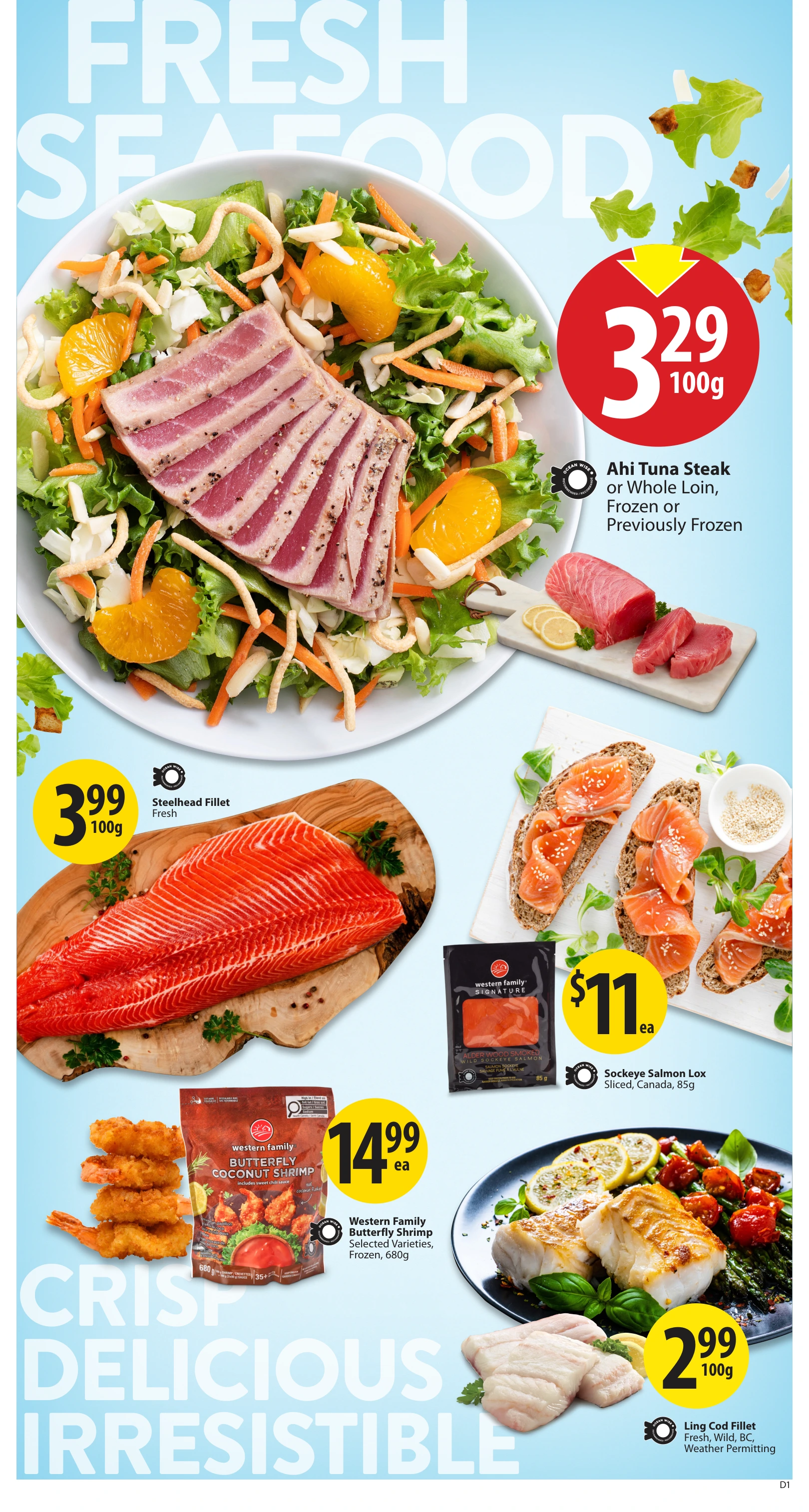 Flyer page 9