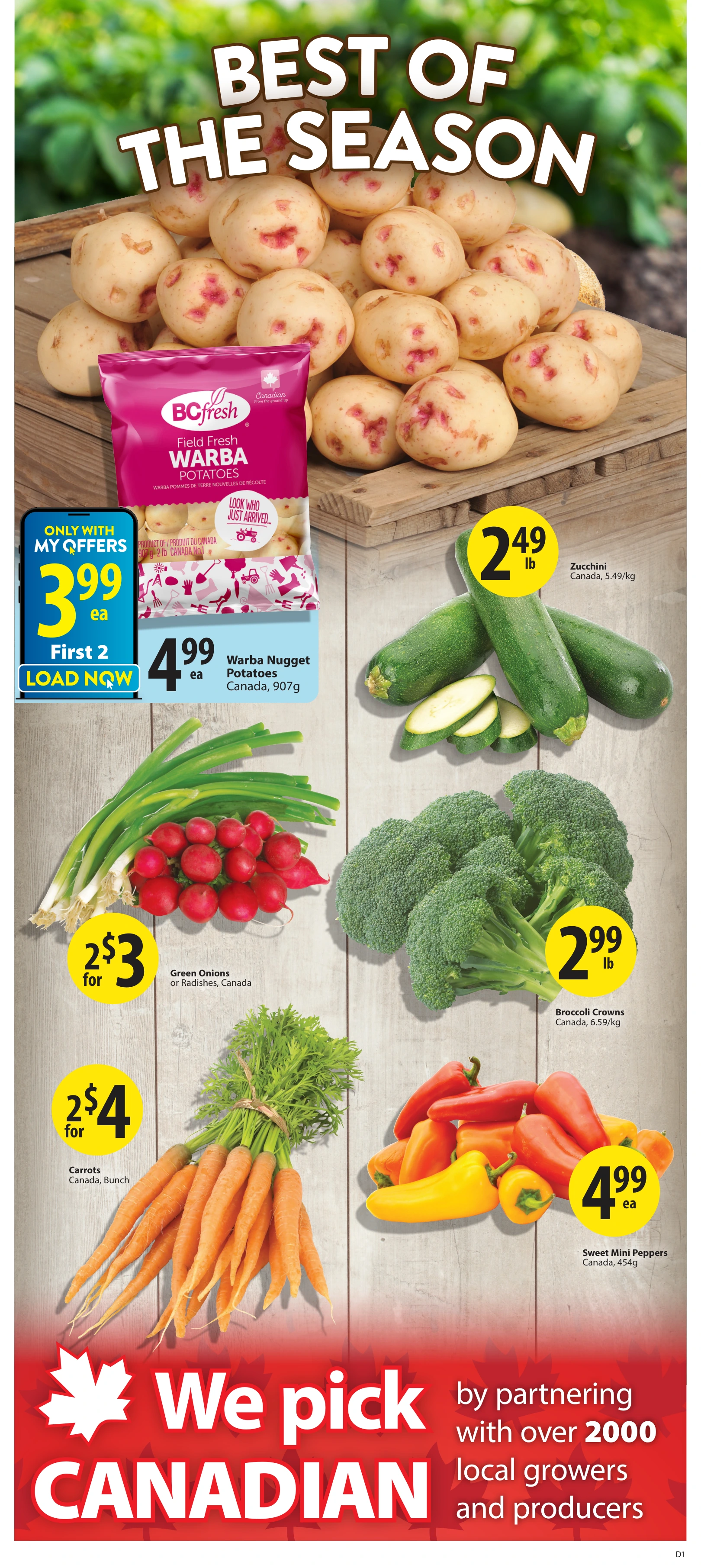 Flyer page 4
