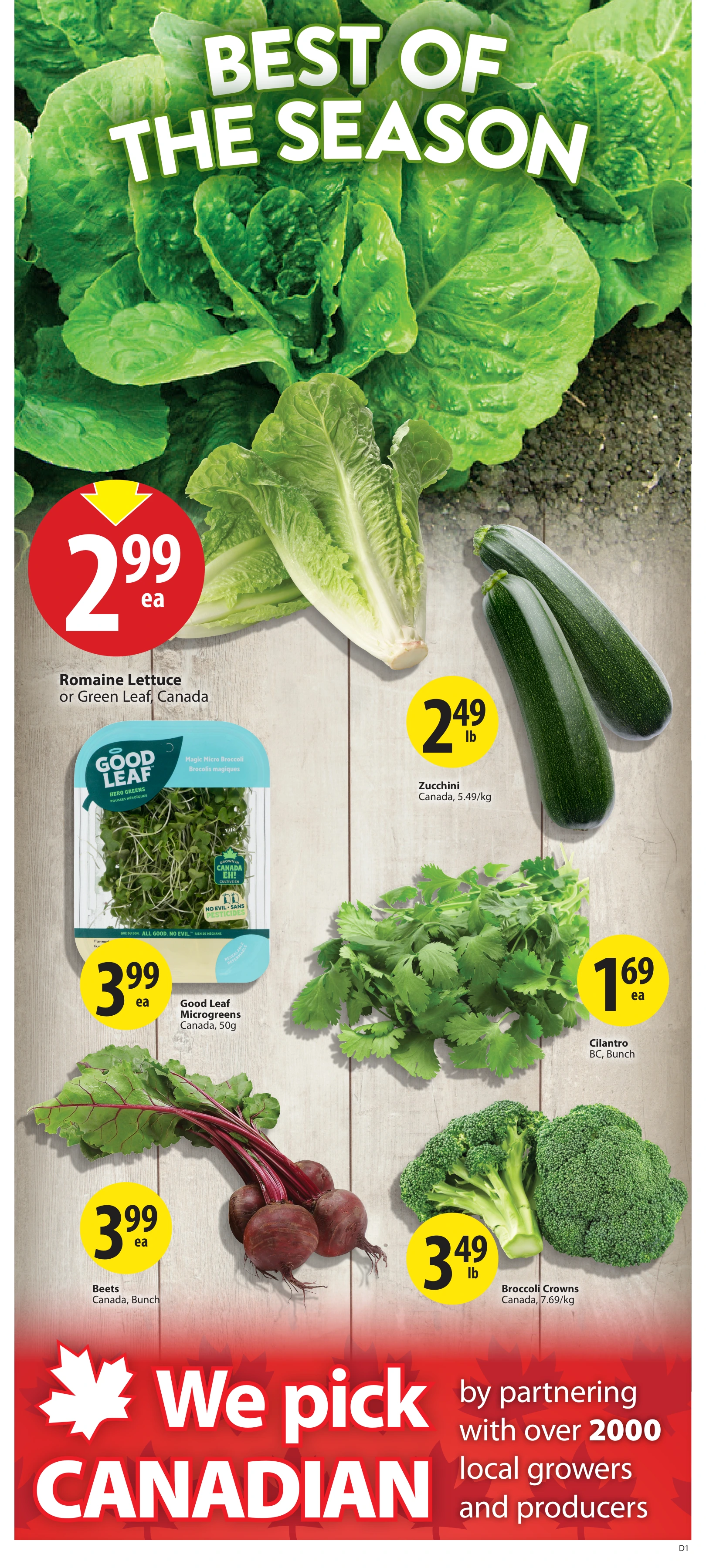Flyer page 5